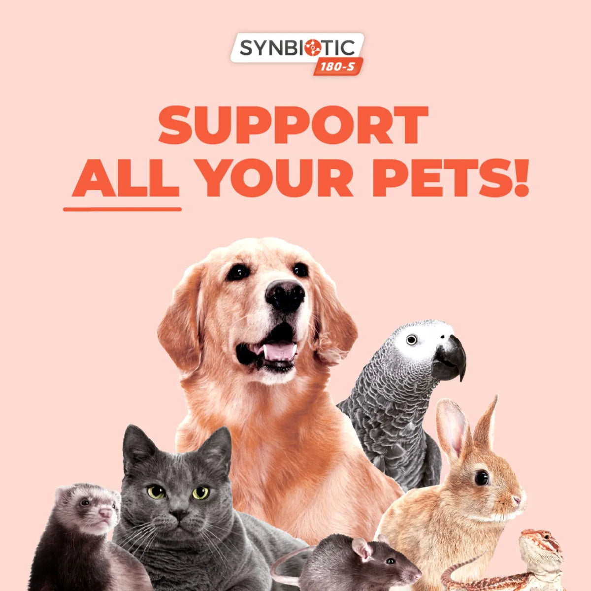 Vetafarm Synbiotic 180-S