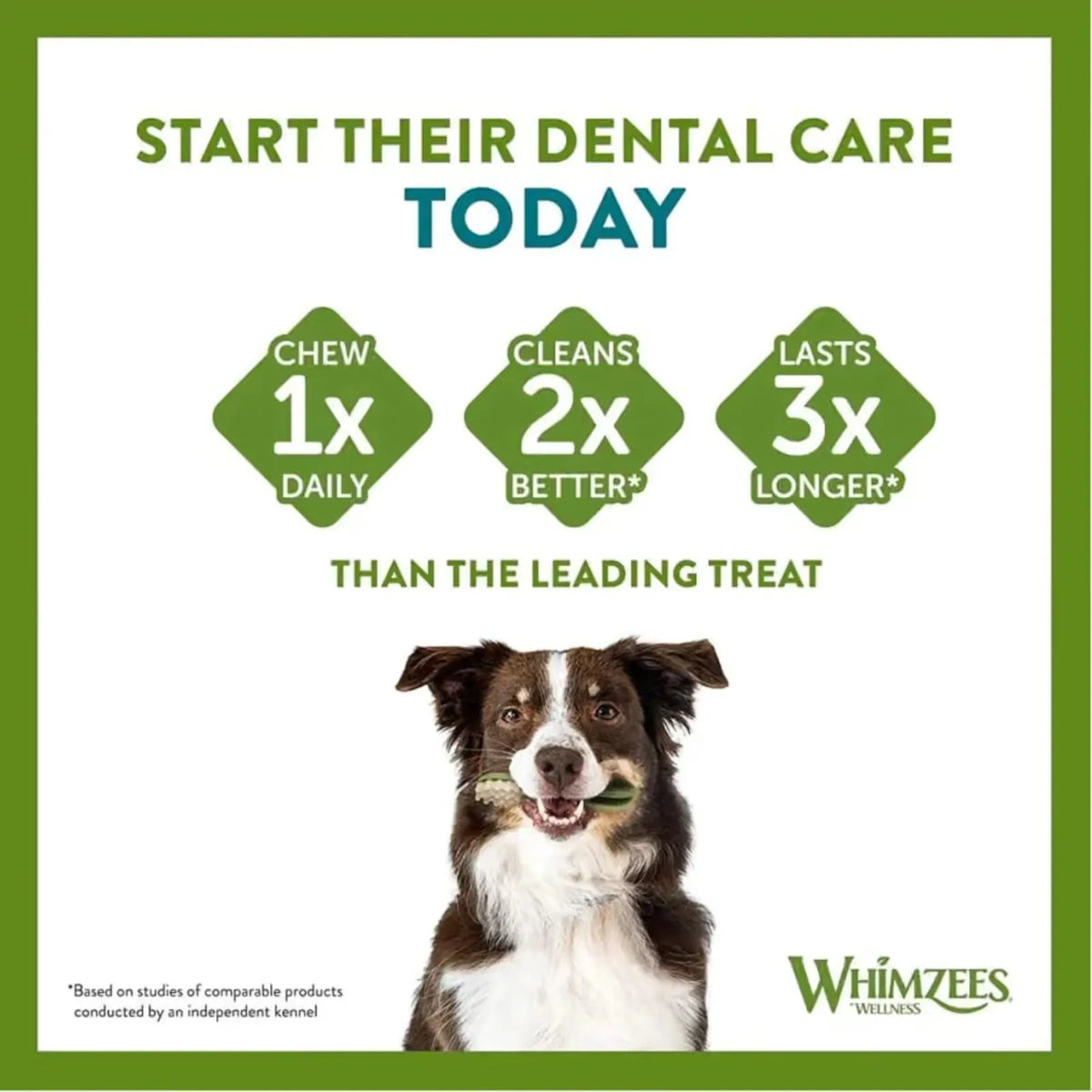 Advertisement for Whimzees Wellness dog treats with a dog holding a treat, featuring text about dental care benefits.