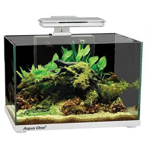 Focus Tank 36L White Aqua One
