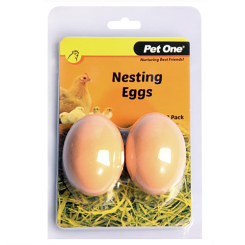 Chicken Nesting Eggs