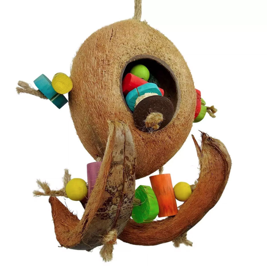 Nino's Java Bird Toy Coco Surf