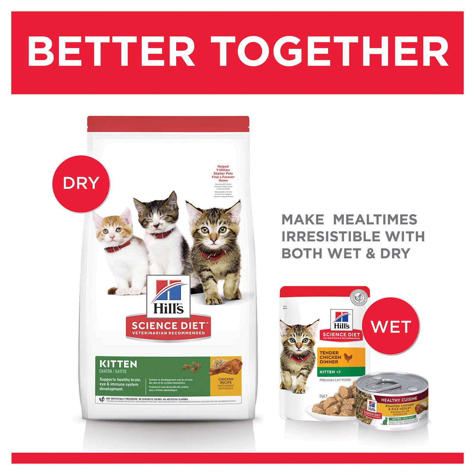 Hill's Science Diet Cat Food Kitten