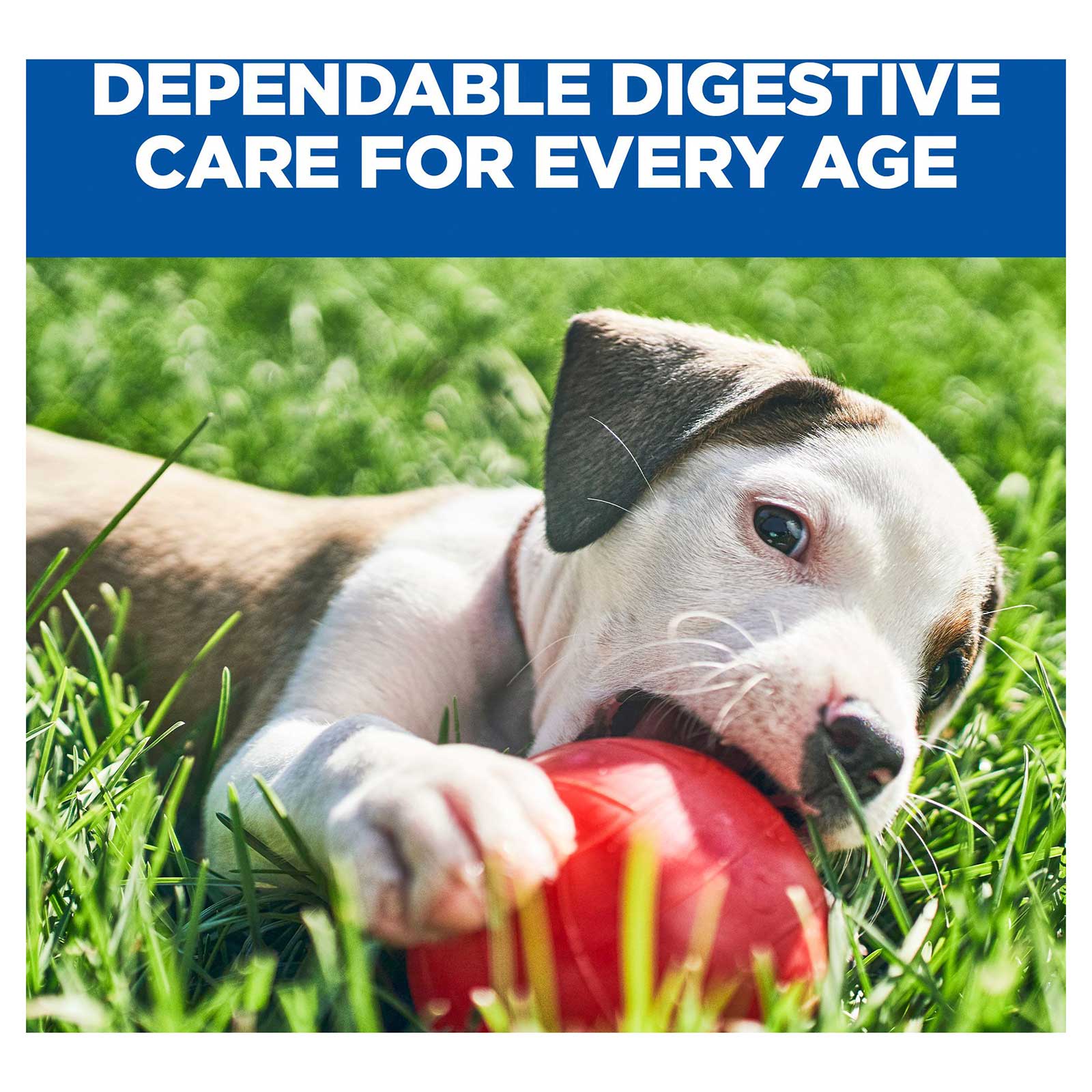 Hill's Prescription Diet Dog Food i/d Digestive Care