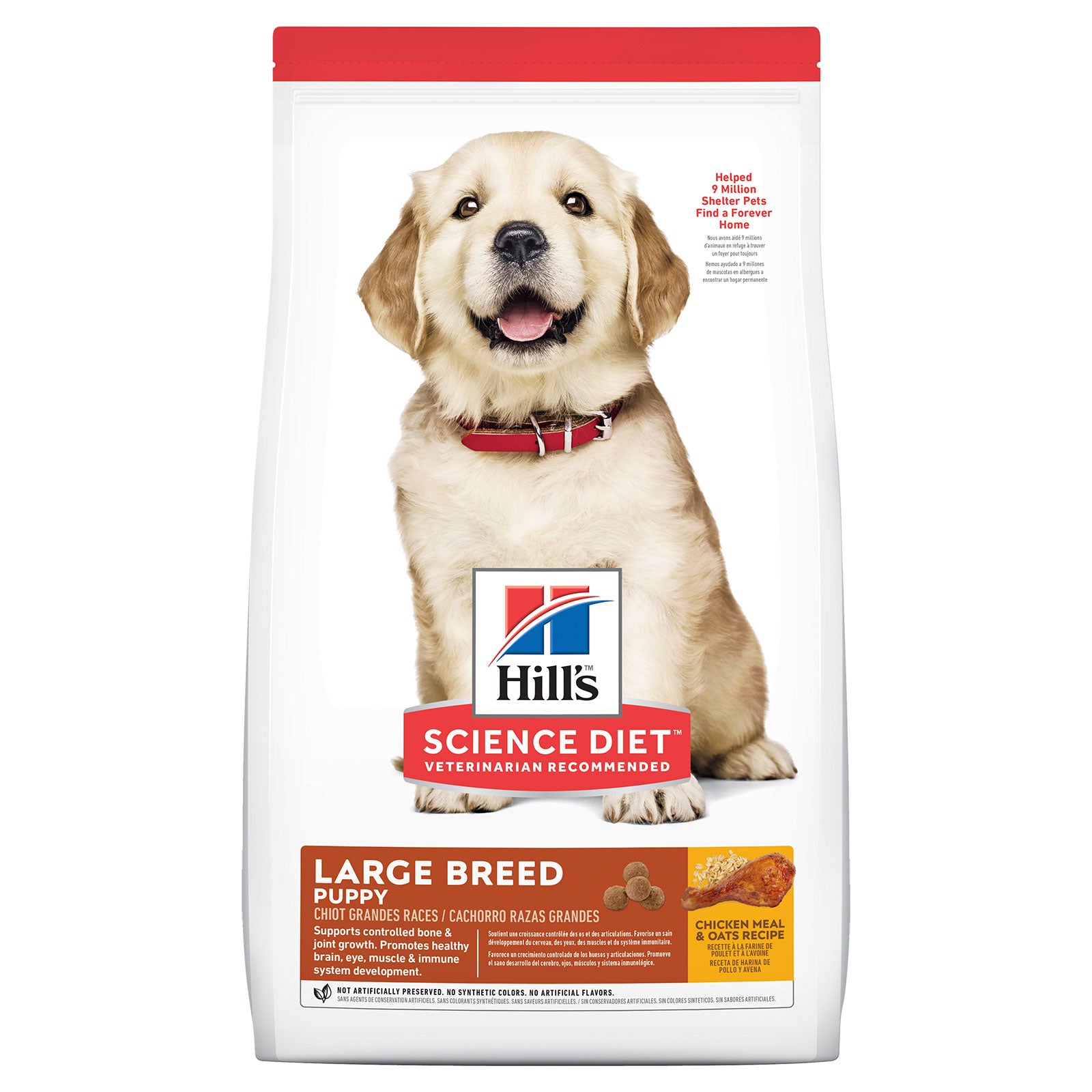 Hill's Science Diet Dog Food Puppy Large Breed
