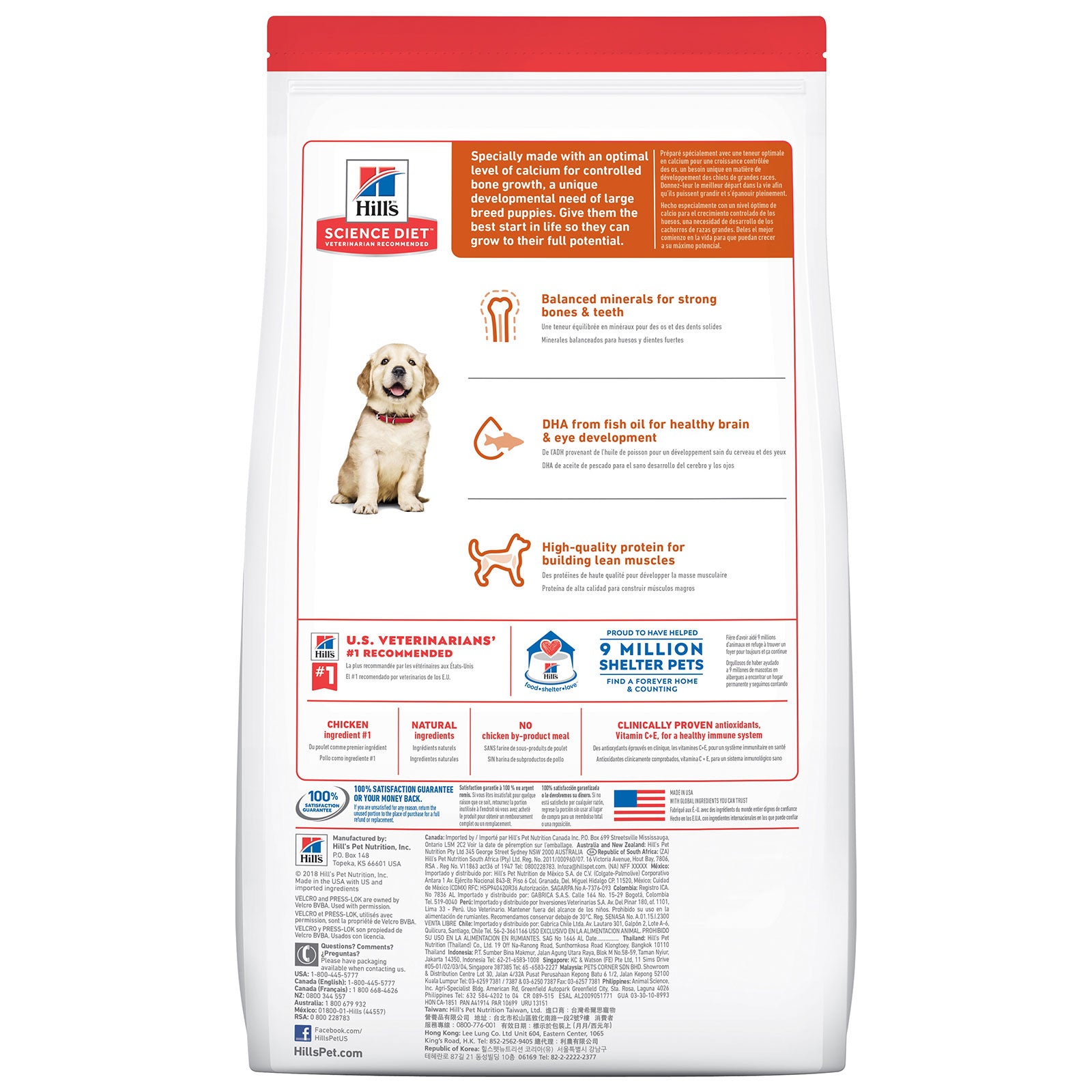 Hill's Science Diet Dog Food Puppy Large Breed