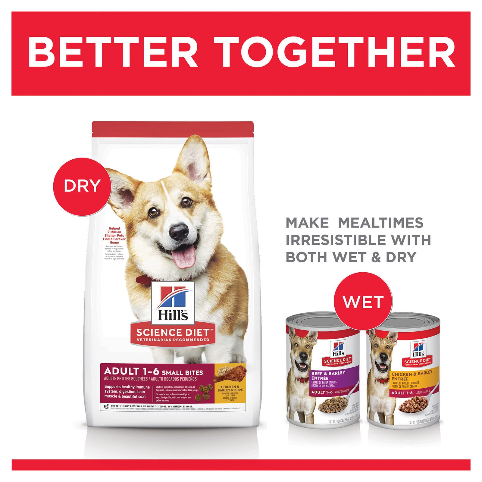 Hill's Science Diet Dog Food Adult Small Bites Chicken