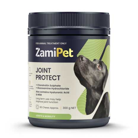 ZamiPet Joint Protect Chews