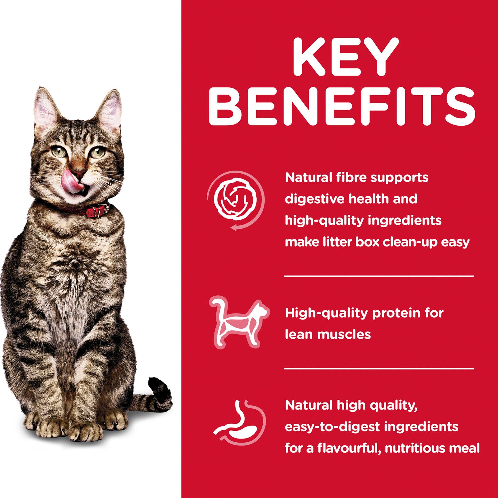 Hill's Science Diet Cat Food Adult 7+ Indoor