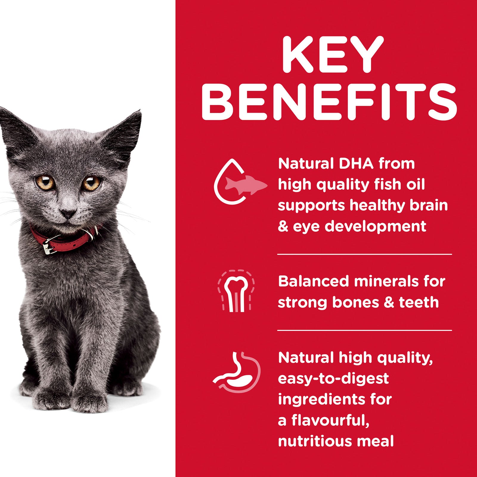 Hill's Science Diet Cat Food Kitten Indoor