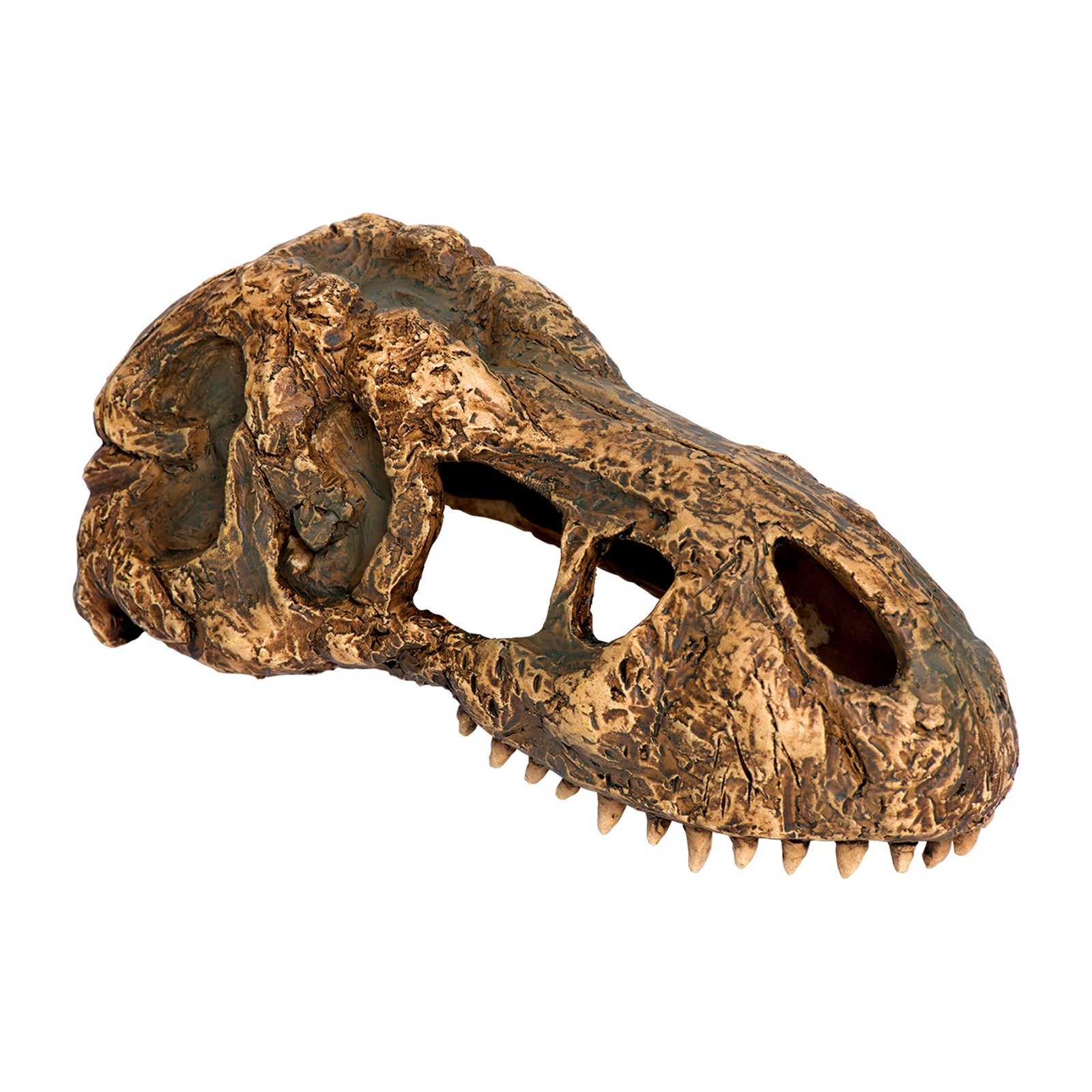 Exo Terra Ornament T-Rex Skull