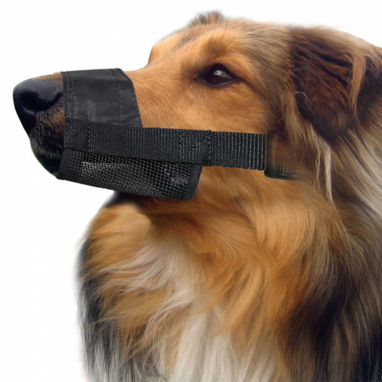 Pet One Adjustable Nylon Dog Muzzle