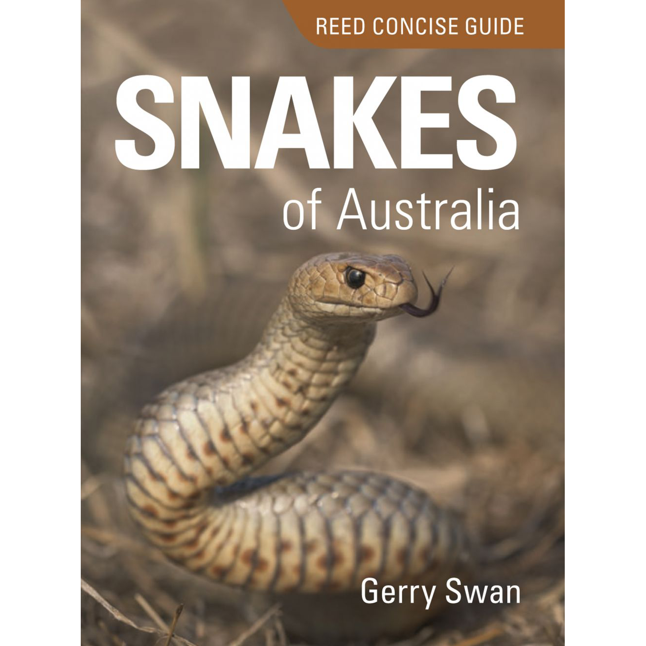Reed Concise Guide Snakes Of Australia