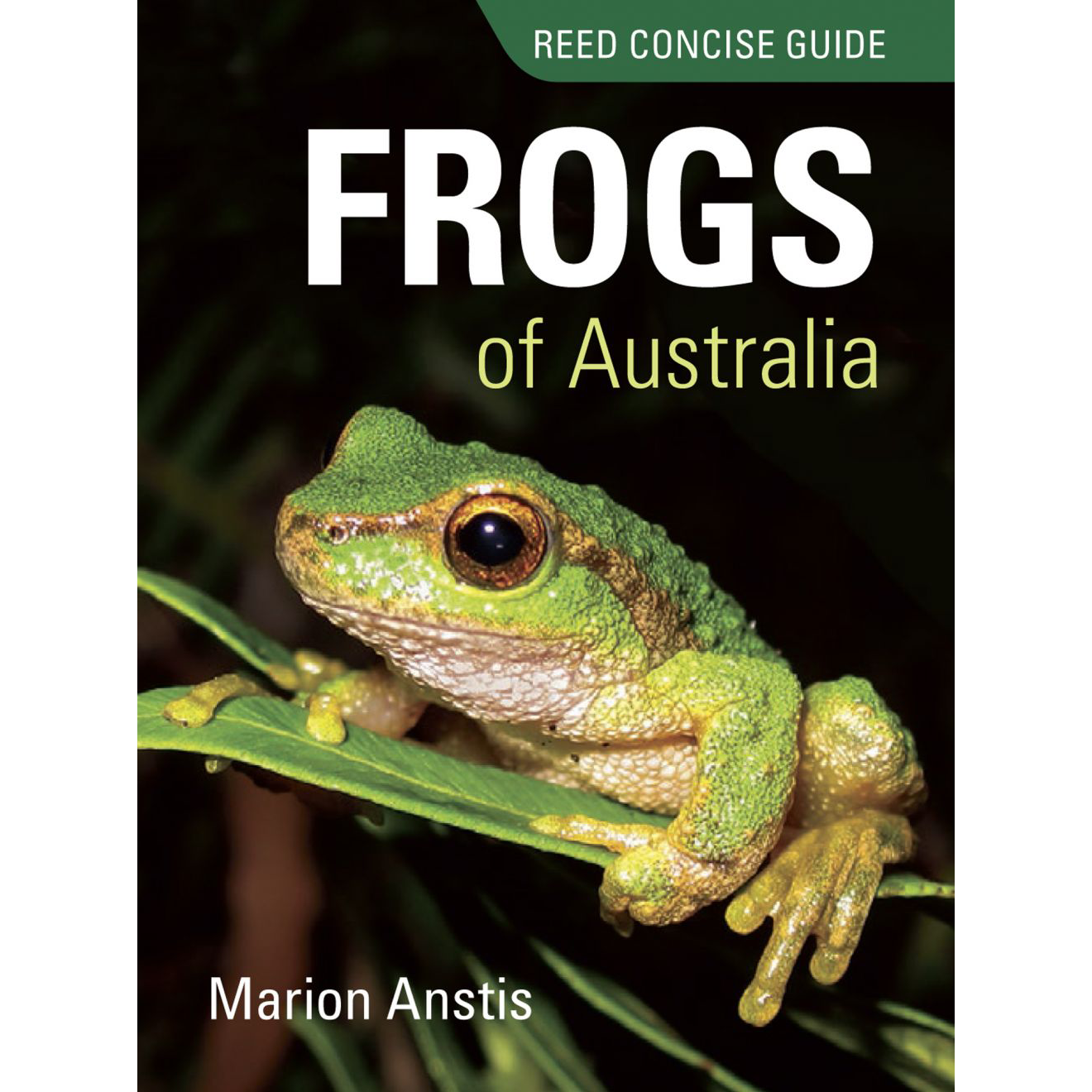 Reed Concise Guide Frogs Of Australia