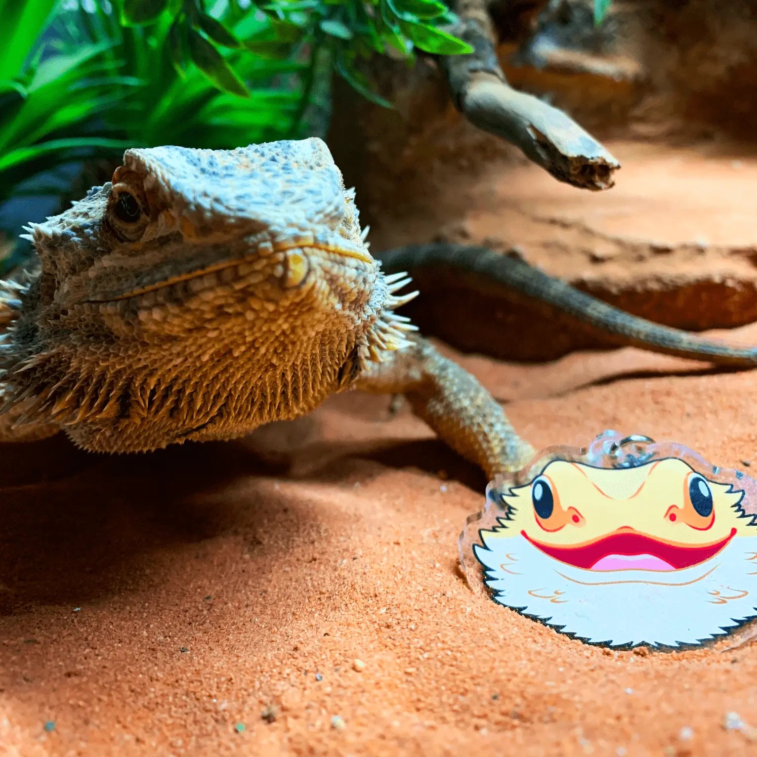 Acrylic Keychain - Cats - Kellyville Pets