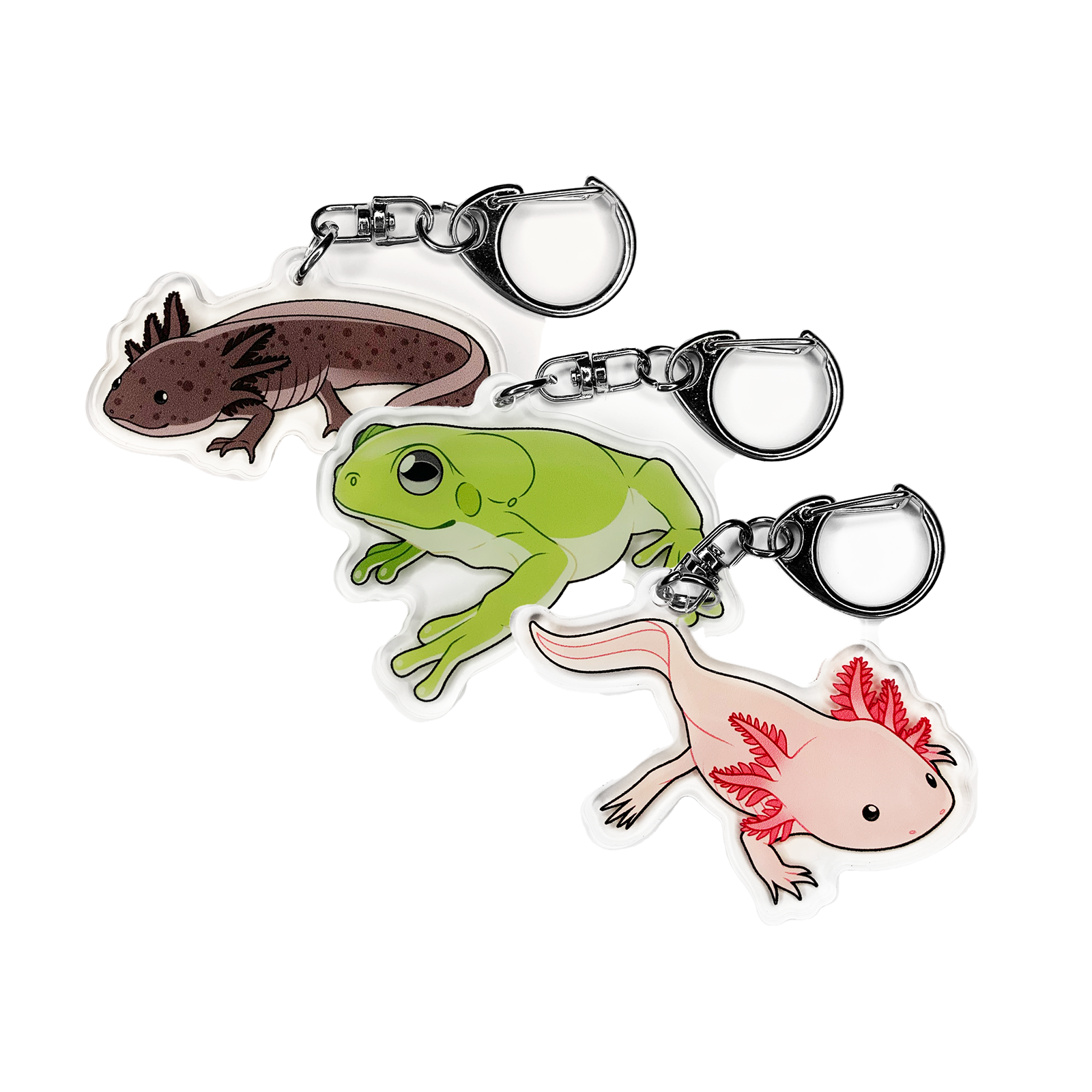 Acrylic Keychain - Amphibians