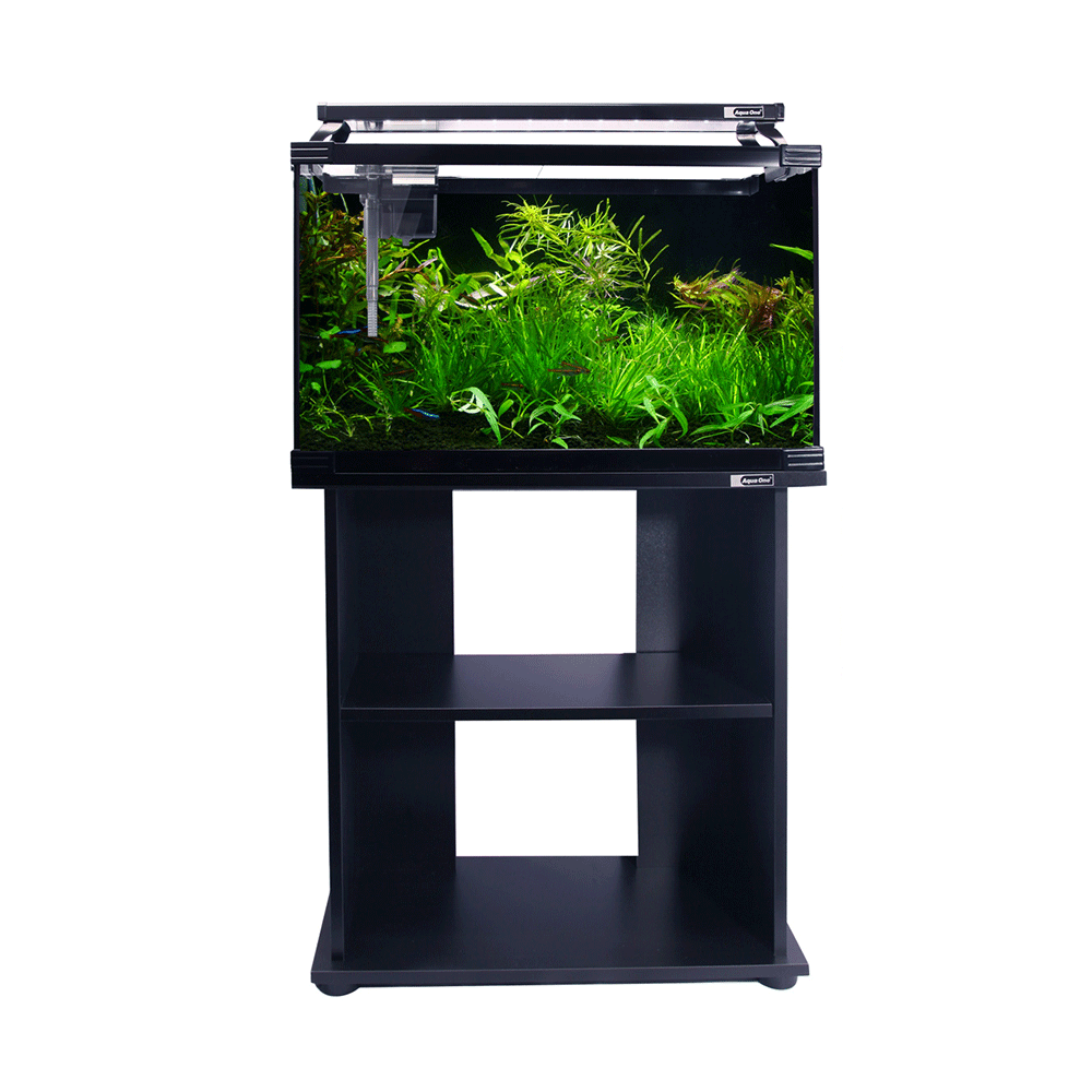 Aqua One Horizon 65 Tank & Stand Aqua One