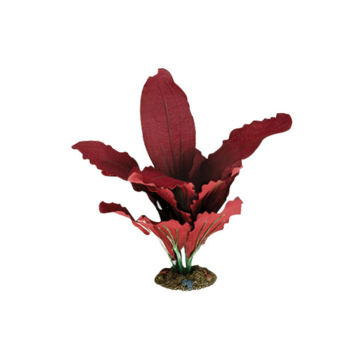 Aqua One Silk Plant Amazon Red Aqua One
