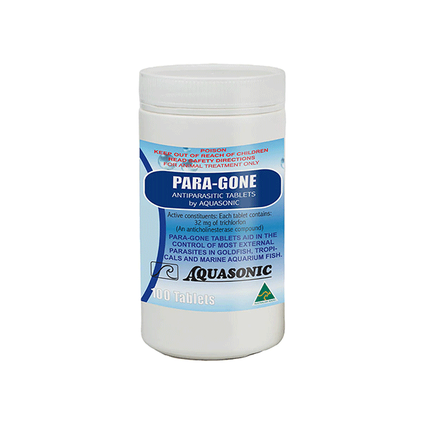 Aquasonic Paragone Aquasonic