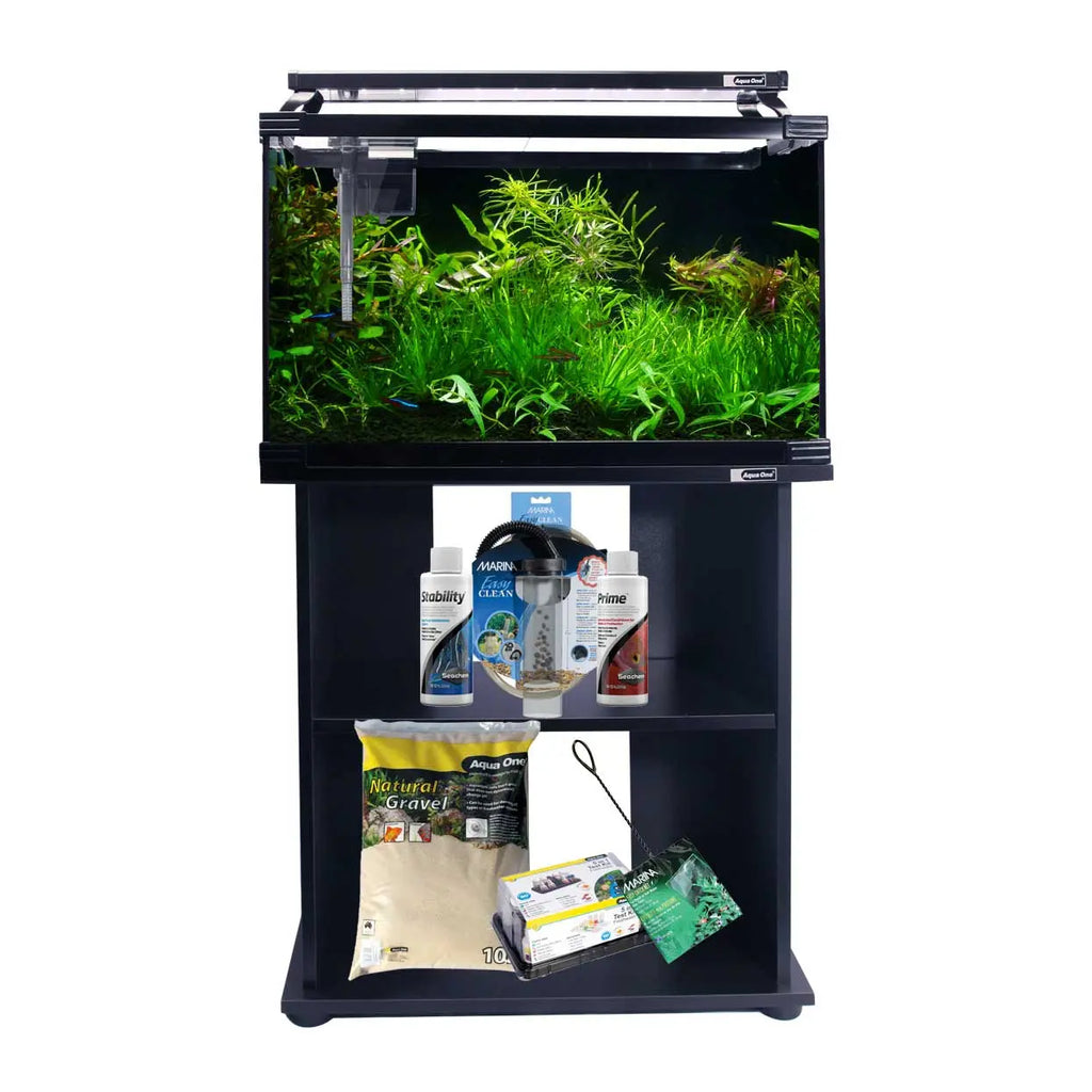 Starter Axolotl Kit With Aquarium And Stand starter-axolotl-kit-with-aquarium-and-stand