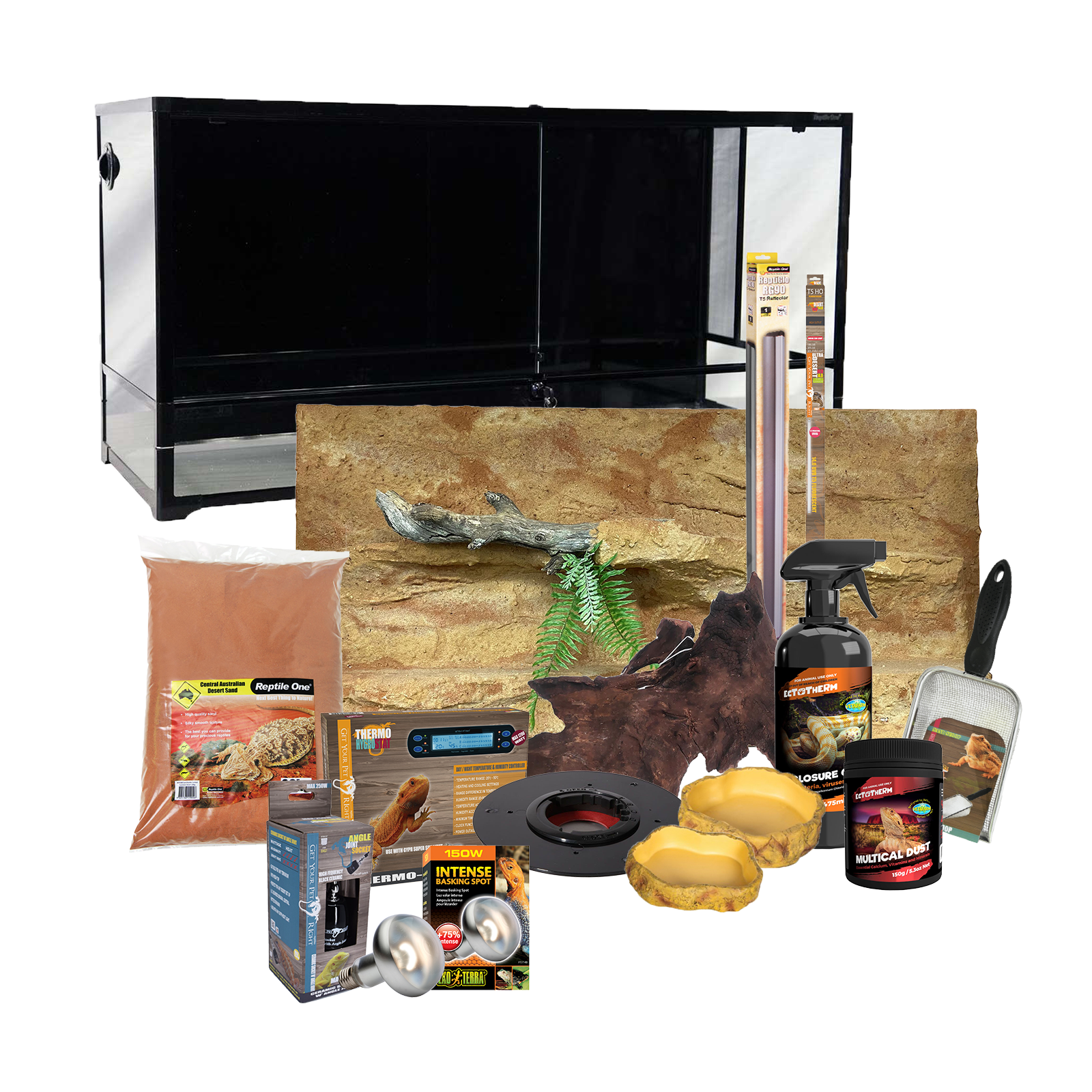Deluxe bearded dragon clearance kit