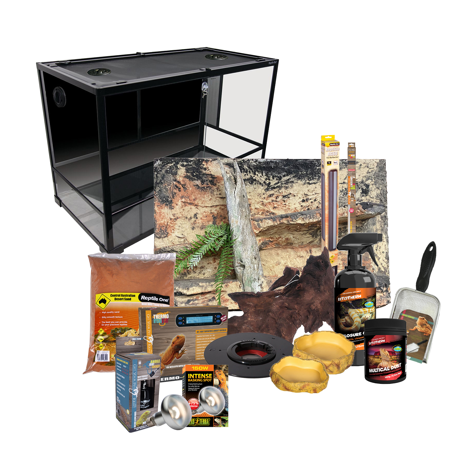 Deluxe bearded dragon clearance kit