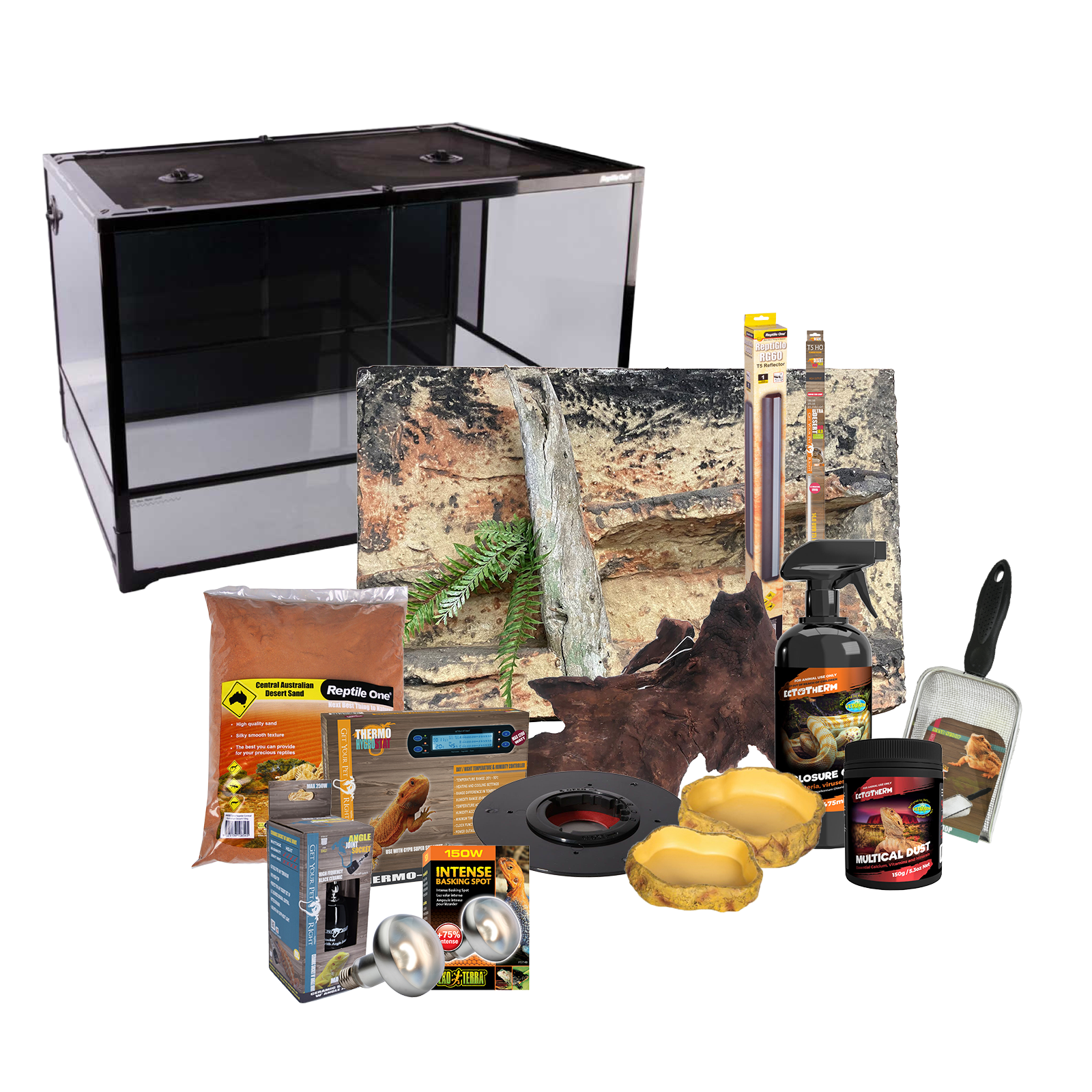 Bearded dragon sales kit 20 gallon