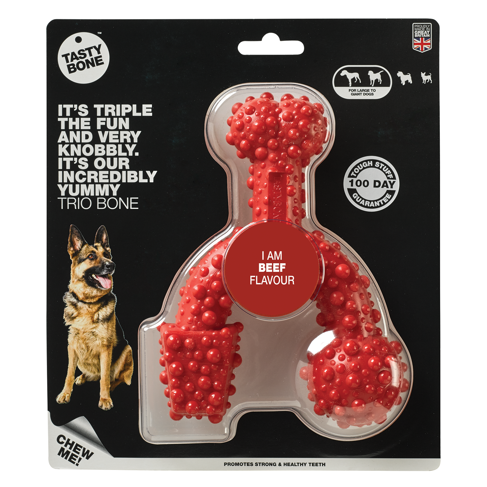 Tasty Bone Nylon Trio Beef Dog Toy