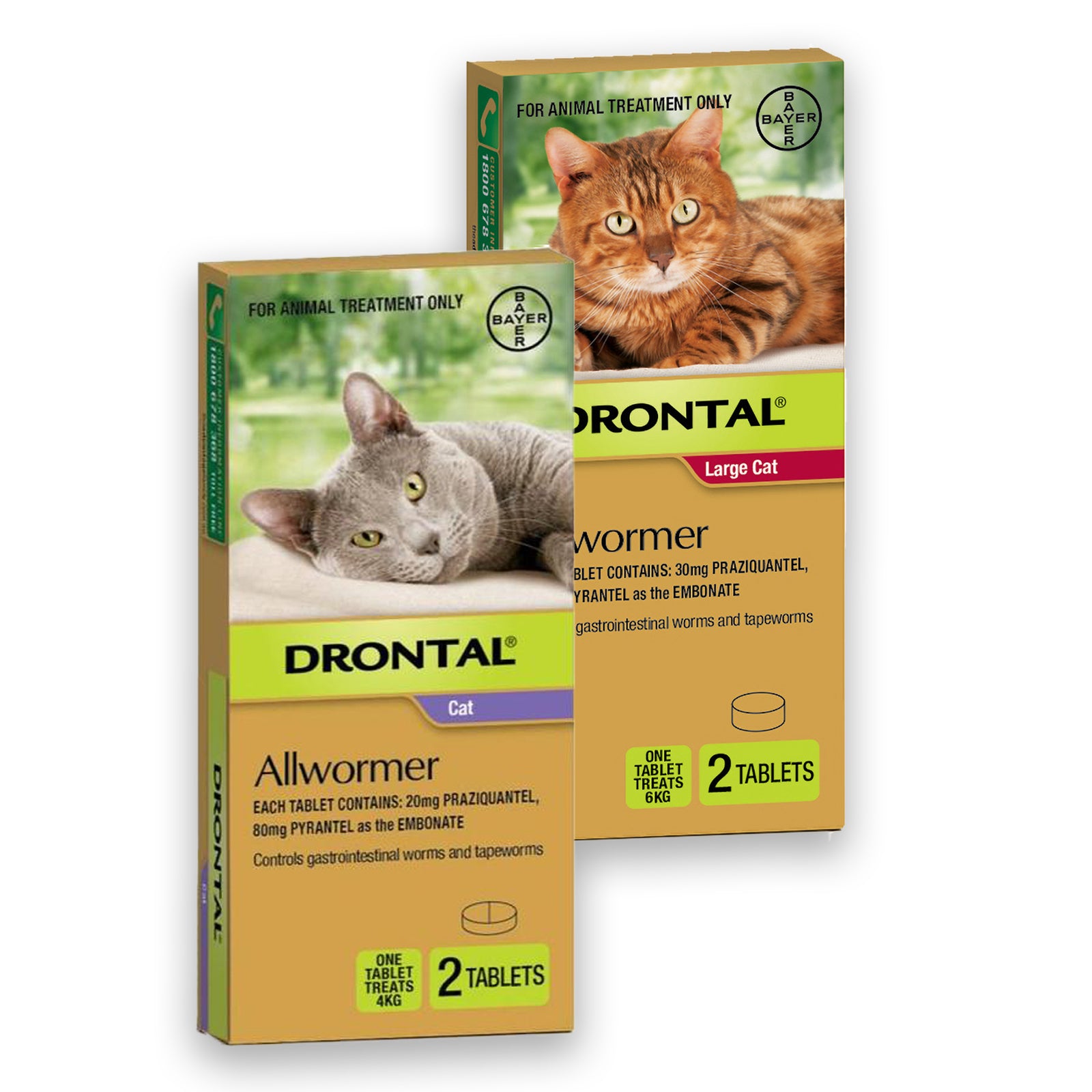 Drontal Allwormer For Cats