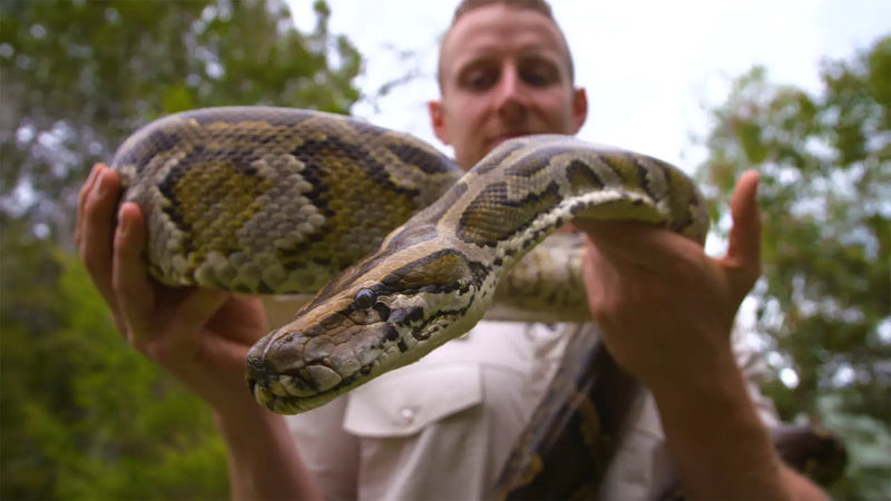 The Python Masterclass Not Specified