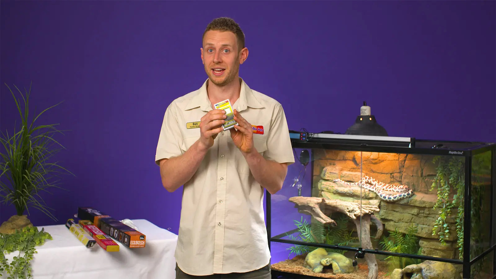 The Python Masterclass Not Specified