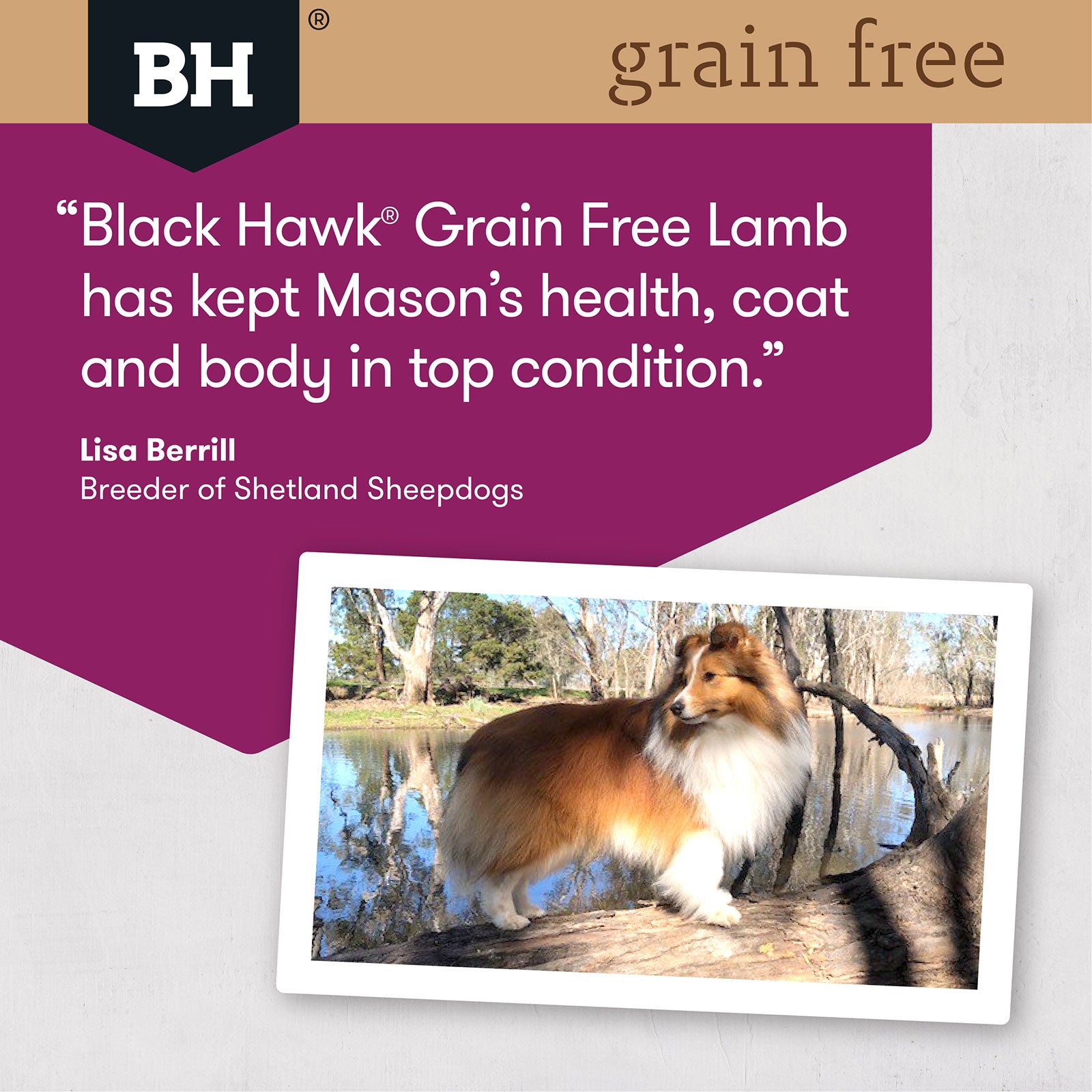 Black Hawk Grain Free Dog Food Adult Lamb