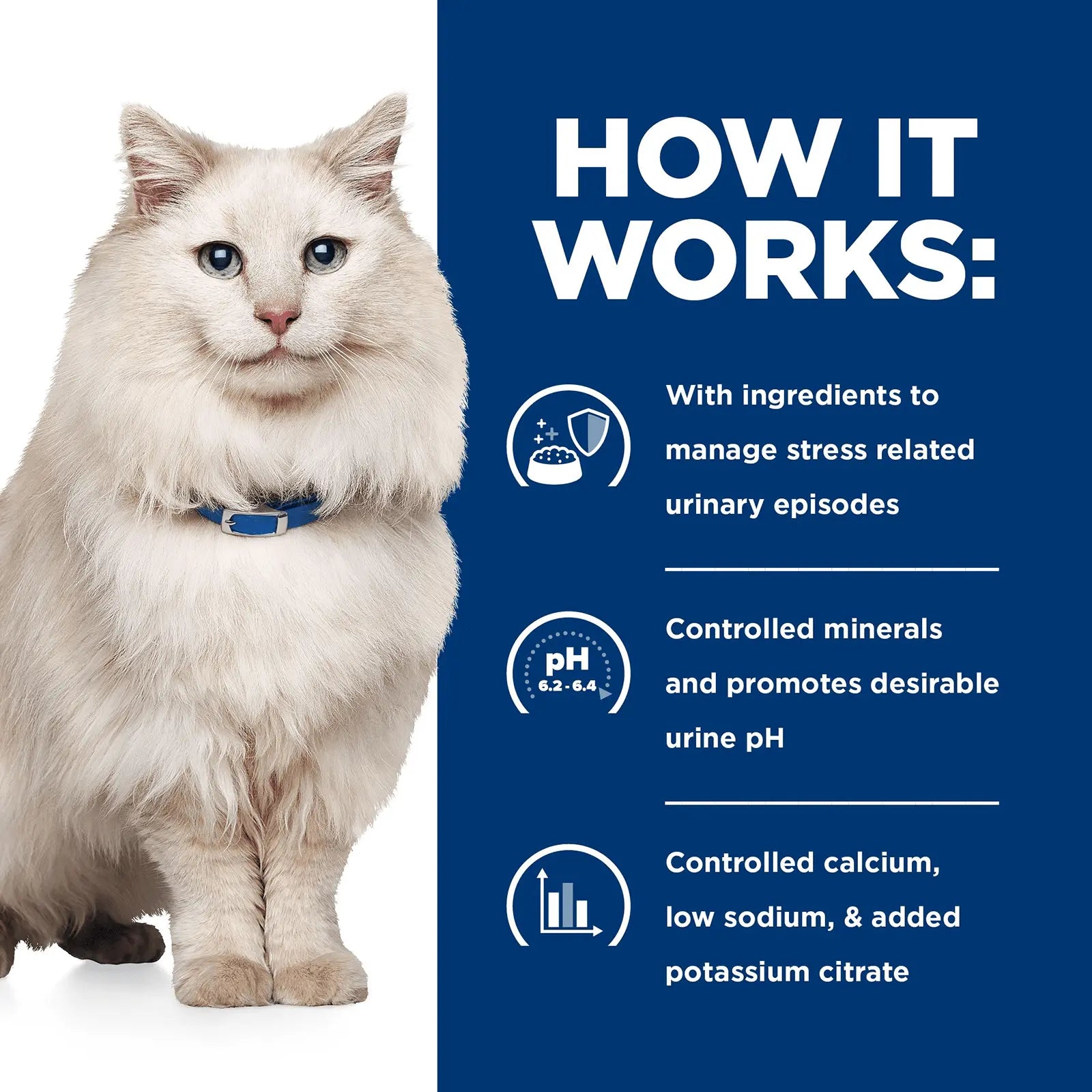 Hill's Prescription Diet Cat Food Can c/d Multicare Stress Urinary Care Chicken & Vegetable Stew - Kellyville Pets