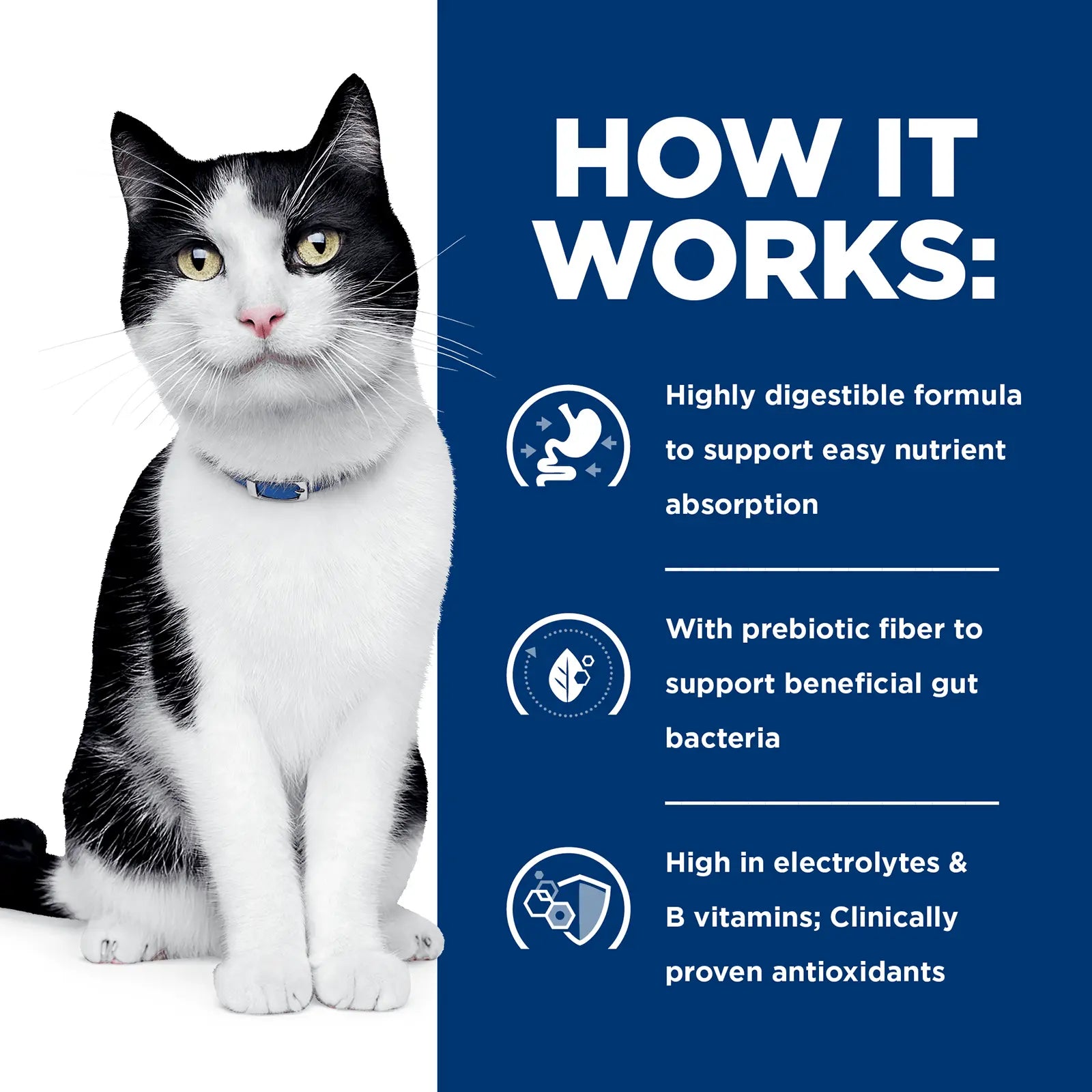 Hill's Prescription Diet Cat Food Can i/d Digestive Care Chicken & Vegetable Stew - Kellyville Pets