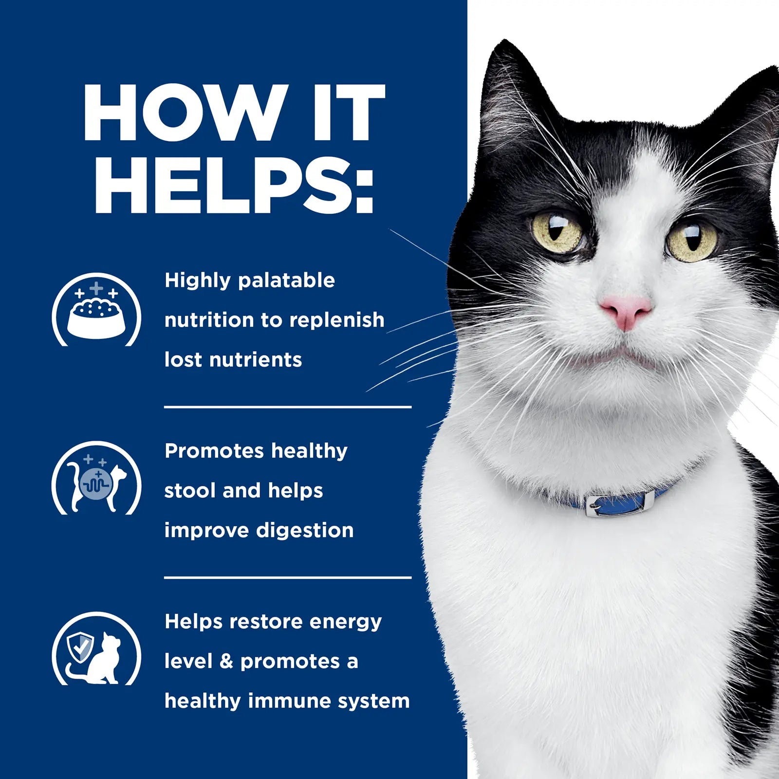 Hill's Prescription Diet Cat Food Can i/d Digestive Care Chicken & Vegetable Stew - Kellyville Pets