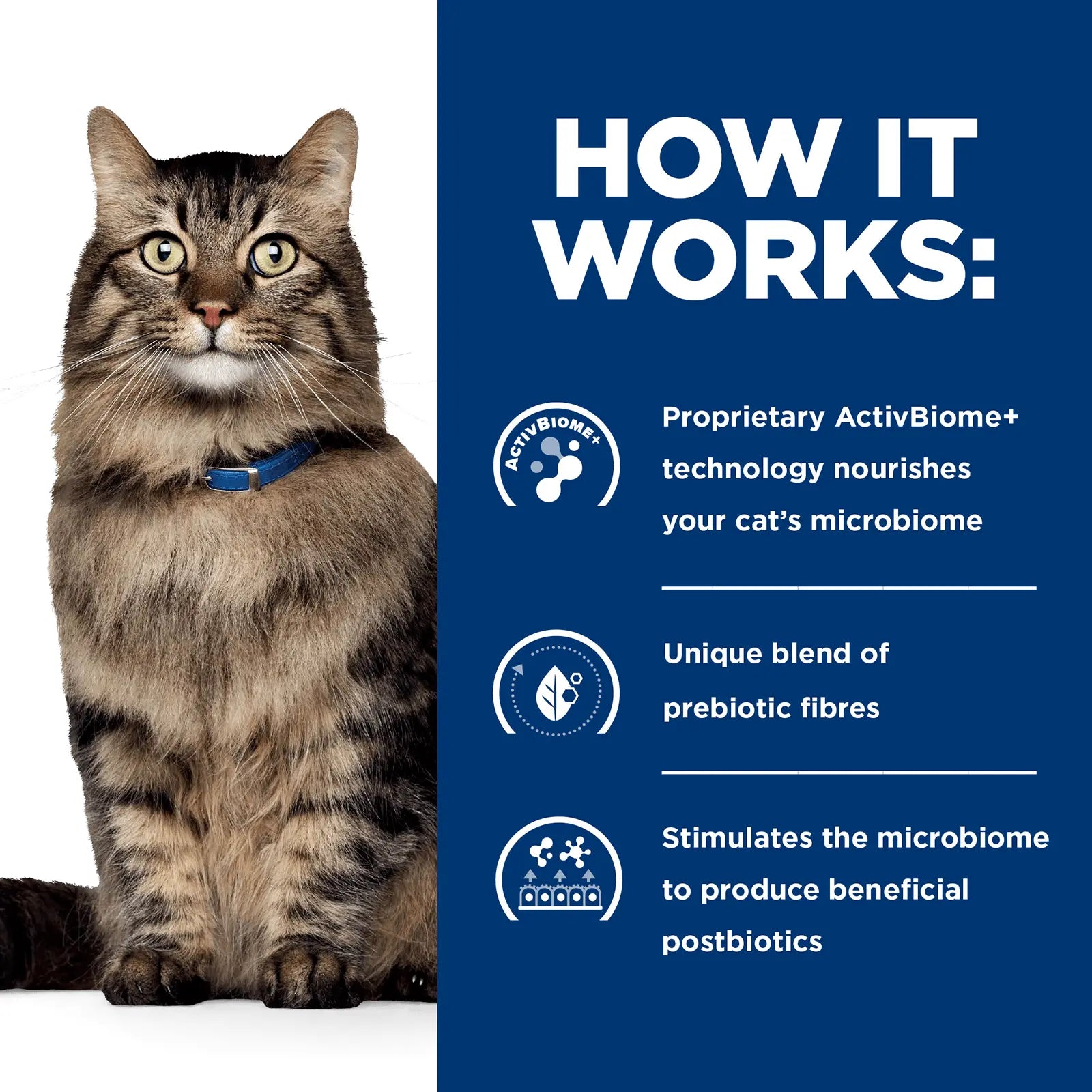 Hill's Prescription Diet Cat Food Gastrointestinal Biome Digestive/Fibre Care with Chicken - Kellyville Pets