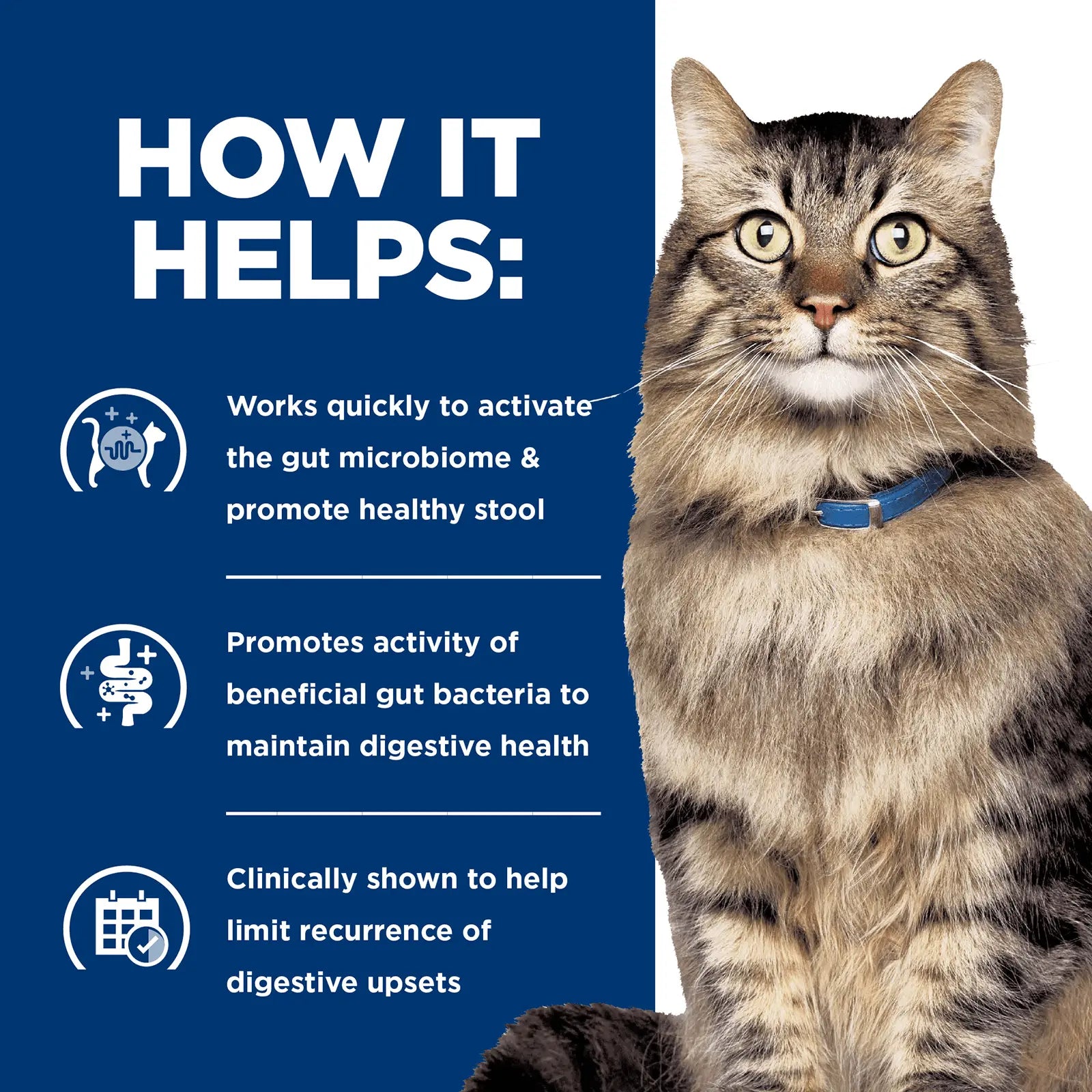 Hill's Prescription Diet Cat Food Gastrointestinal Biome Digestive/Fibre Care with Chicken - Kellyville Pets