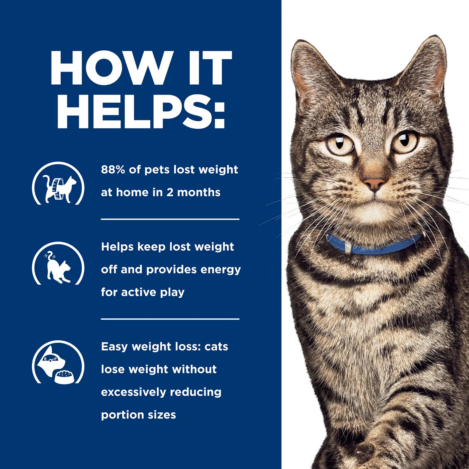 Hill's Prescription Diet Cat Food Pouch Metabolic Weight Loss & Maintenance - Kellyville Pets