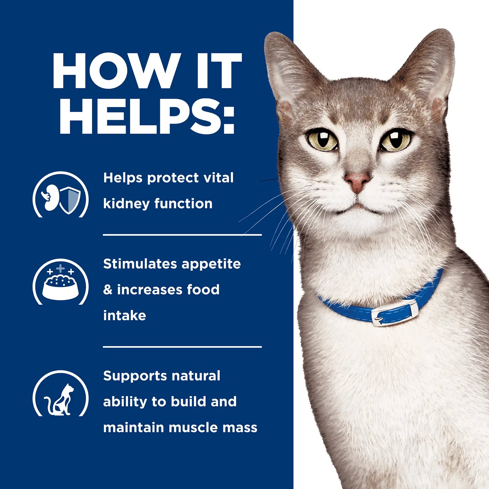 Hill's Prescription Diet Cat Food Pouch k/d Kidney Care with Chicken - Kellyville Pets