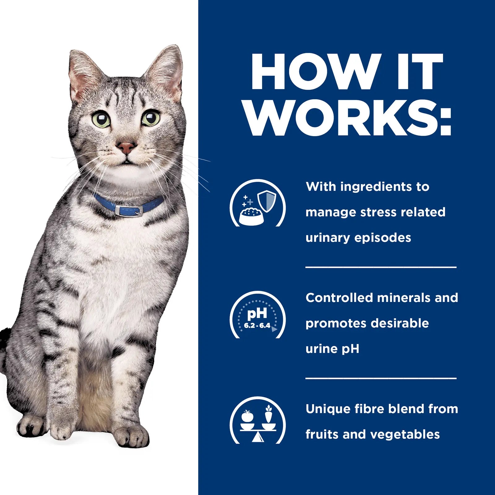 Hill's Prescription Diet Cat Food c/d Multicare Stress + Metabolic + Urinary Weight Care - Kellyville Pets