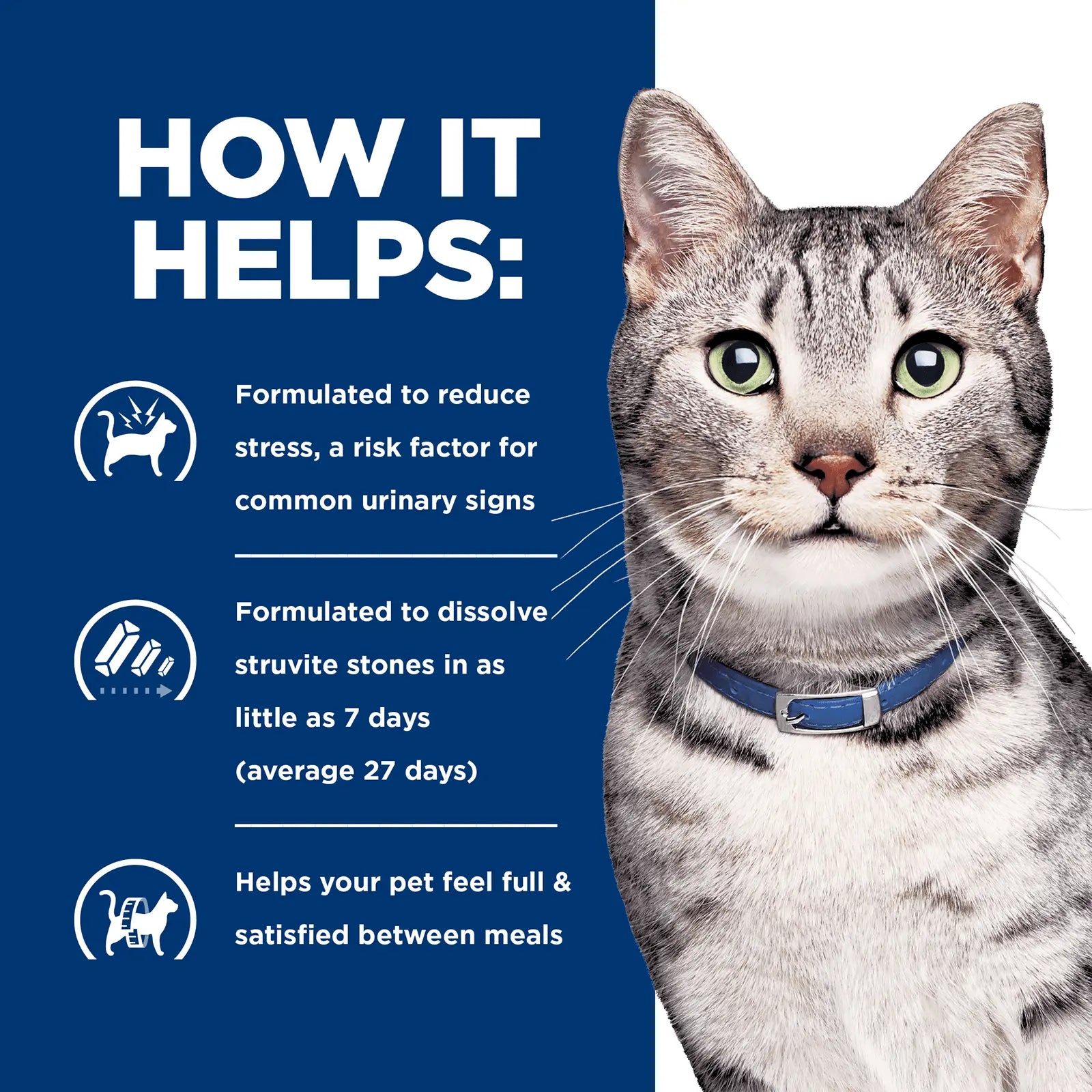 Hill's Prescription Diet Cat Food c/d Multicare Stress + Metabolic + Urinary Weight Care - Kellyville Pets