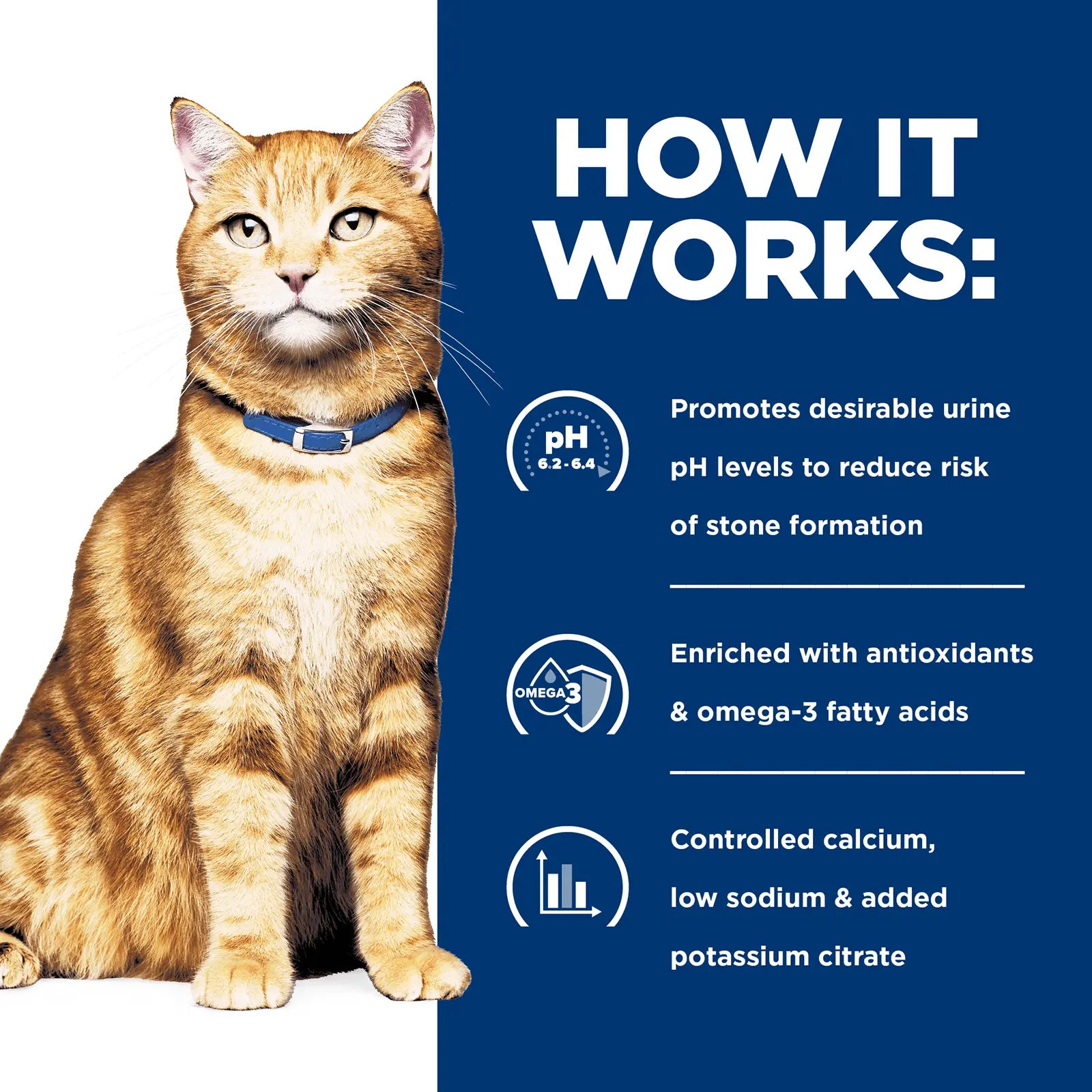 Hill's Prescription Diet Cat Food c/d Multicare Urinary Care - Kellyville Pets