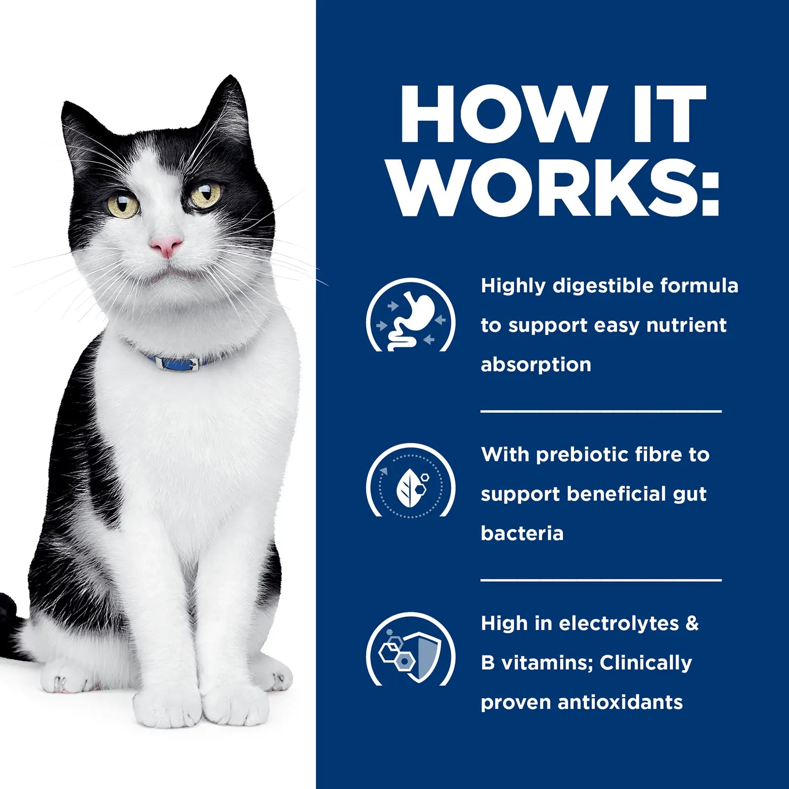 Hill's Prescription Diet Cat Food i/d Digestive Care - Kellyville Pets
