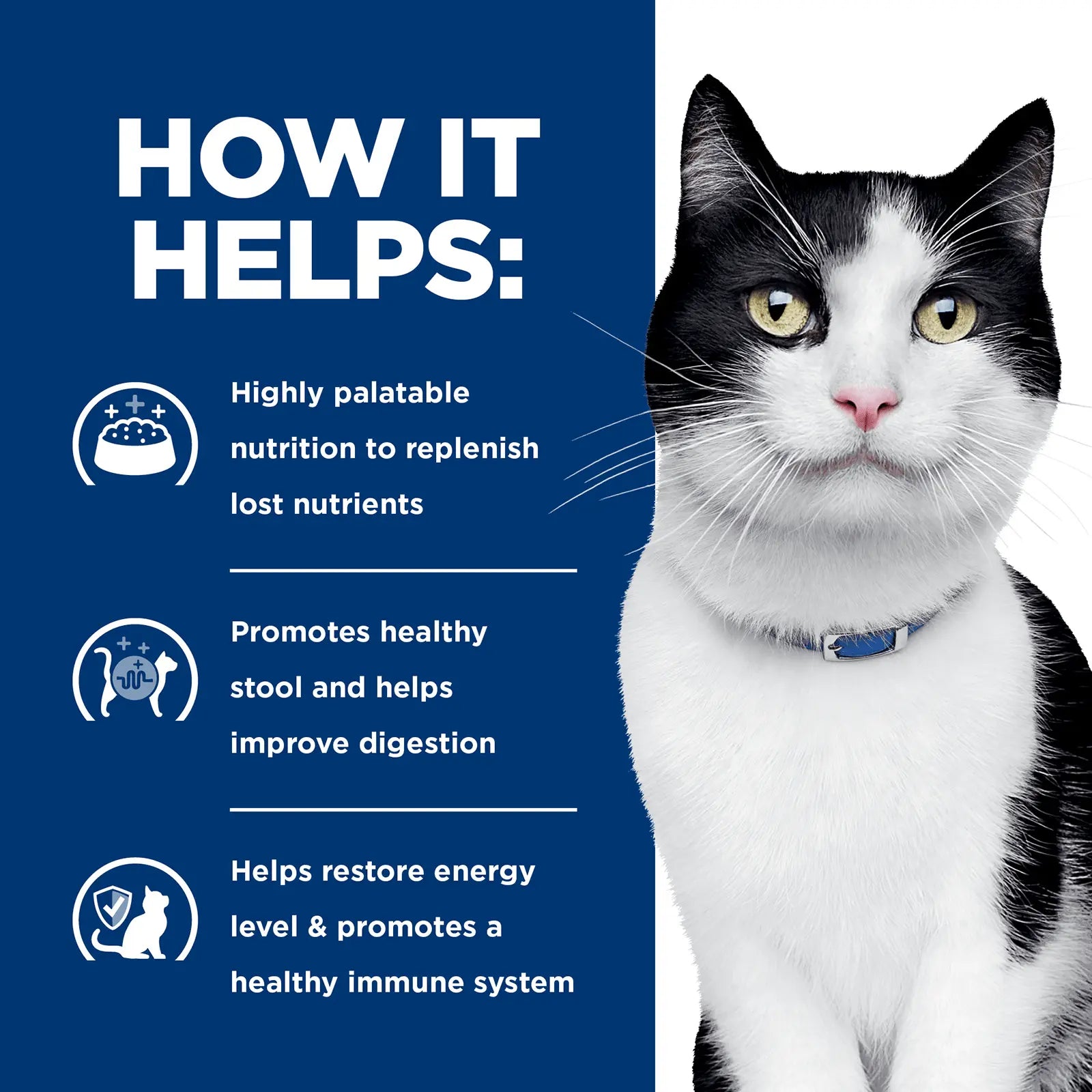 Hill's Prescription Diet Cat Food i/d Digestive Care - Kellyville Pets