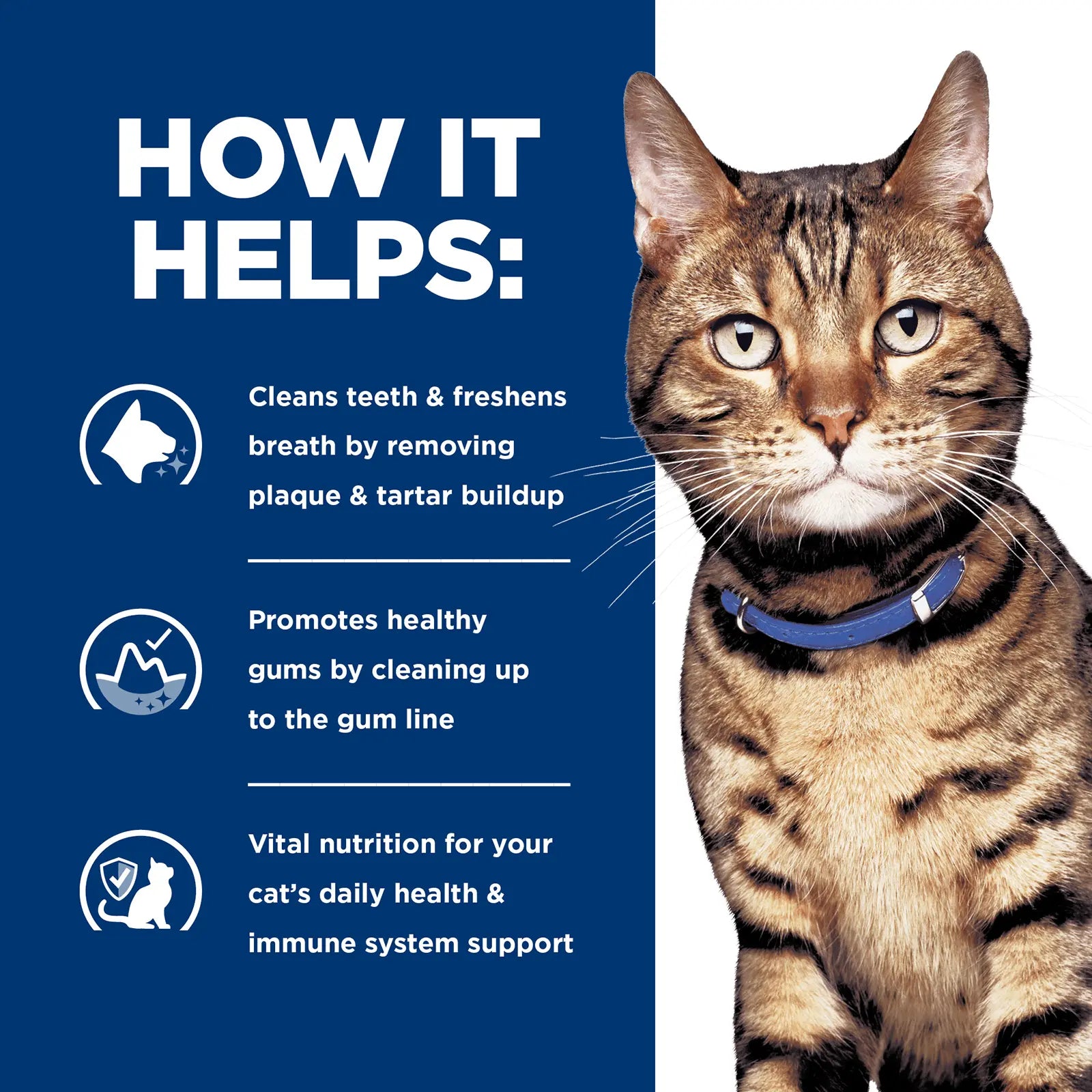 Hill's Prescription Diet Cat Food t/d Dental Care - Kellyville Pets