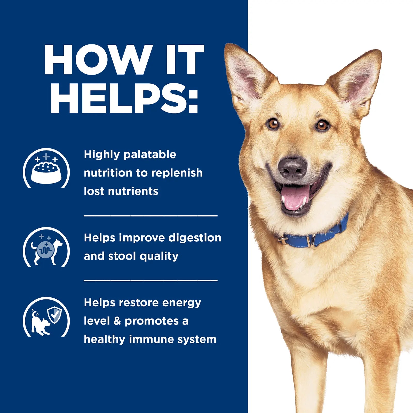 Hill's Prescription Diet Dog Food Can i/d Digestive Care Chicken & Vegetable Stew - Kellyville Pets