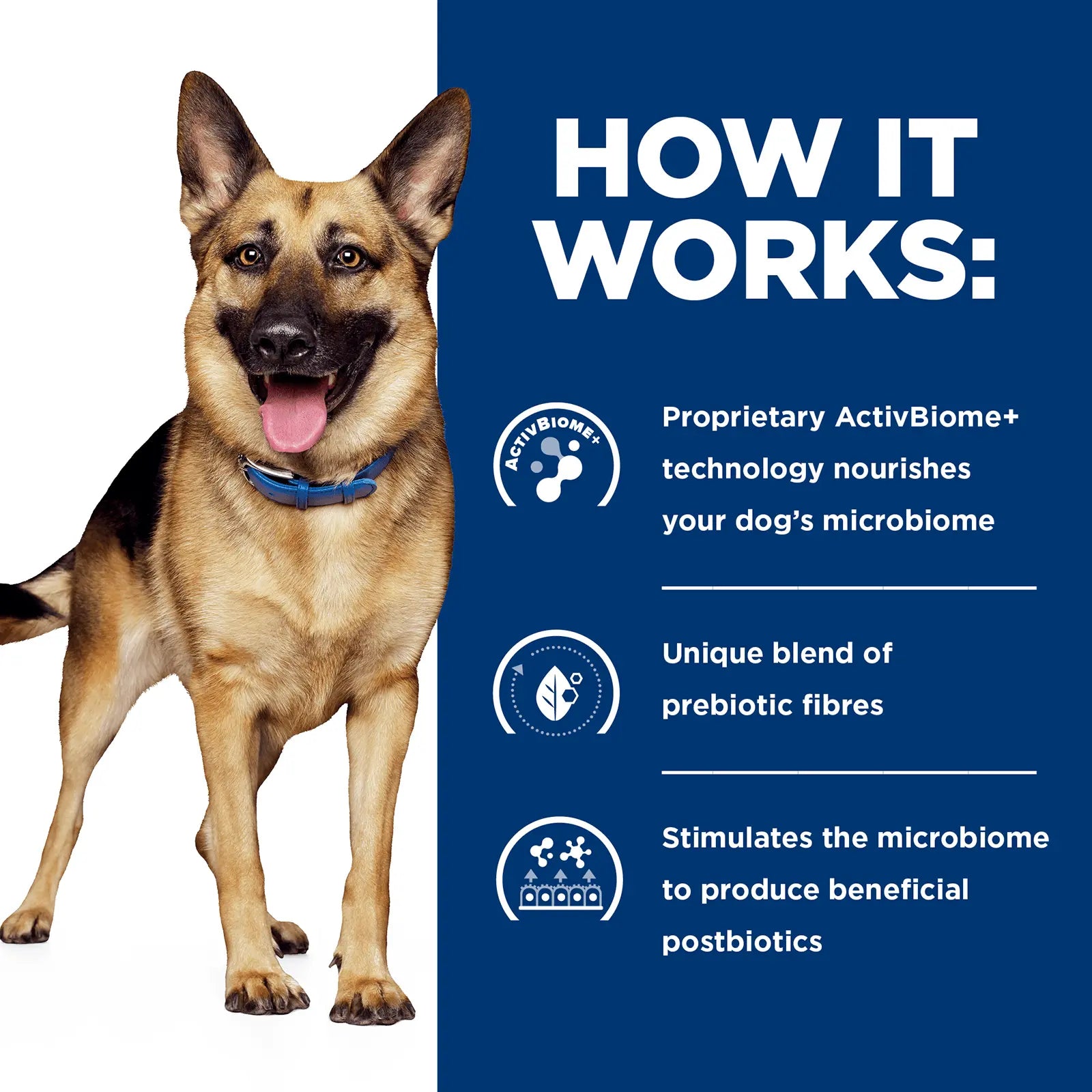 Hill's Prescription Diet Dog Food Gastrointestinal Biome Digestive/Fibre Care with Chicken - Kellyville Pets