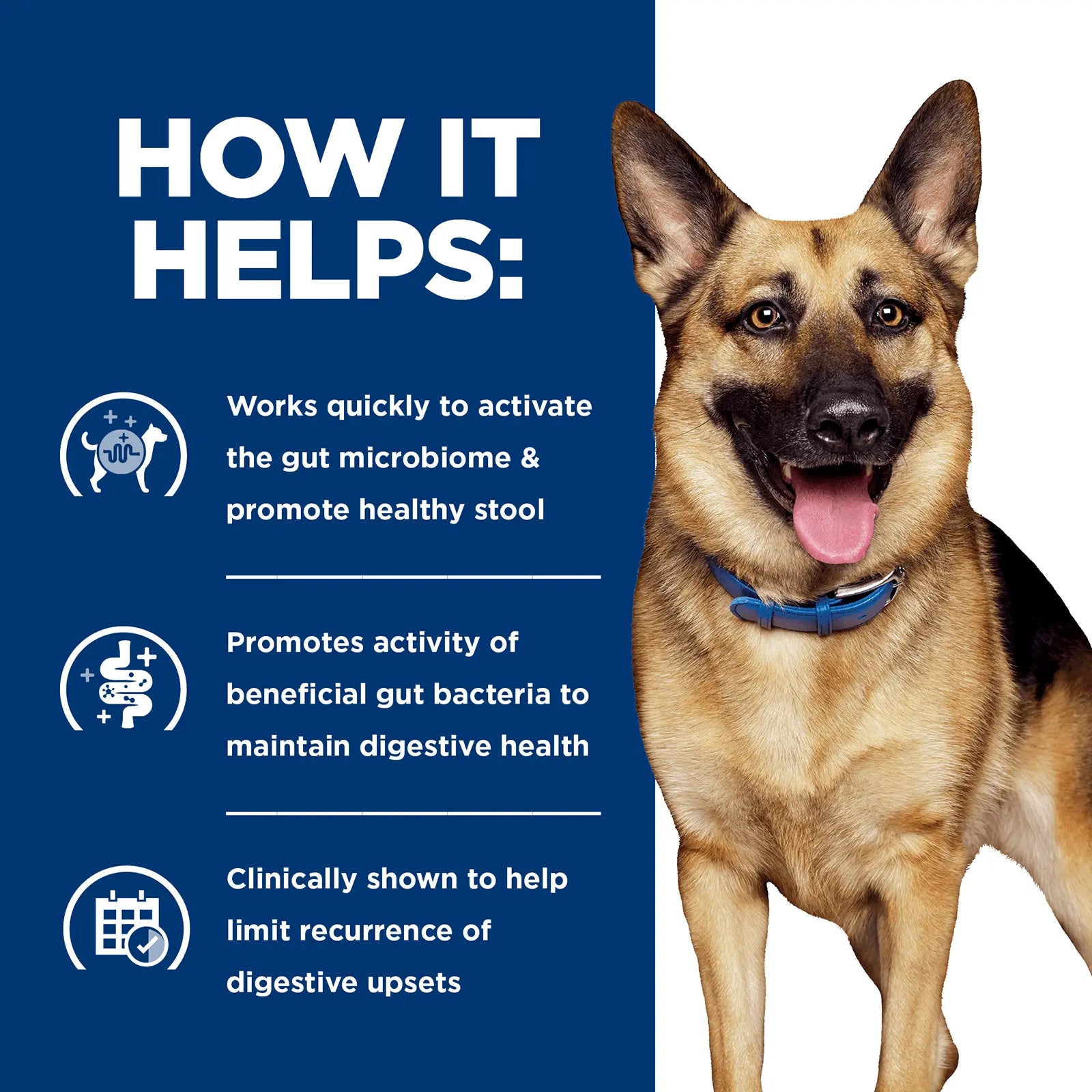 Hill's Prescription Diet Dog Food Gastrointestinal Biome Digestive/Fibre Care with Chicken - Kellyville Pets
