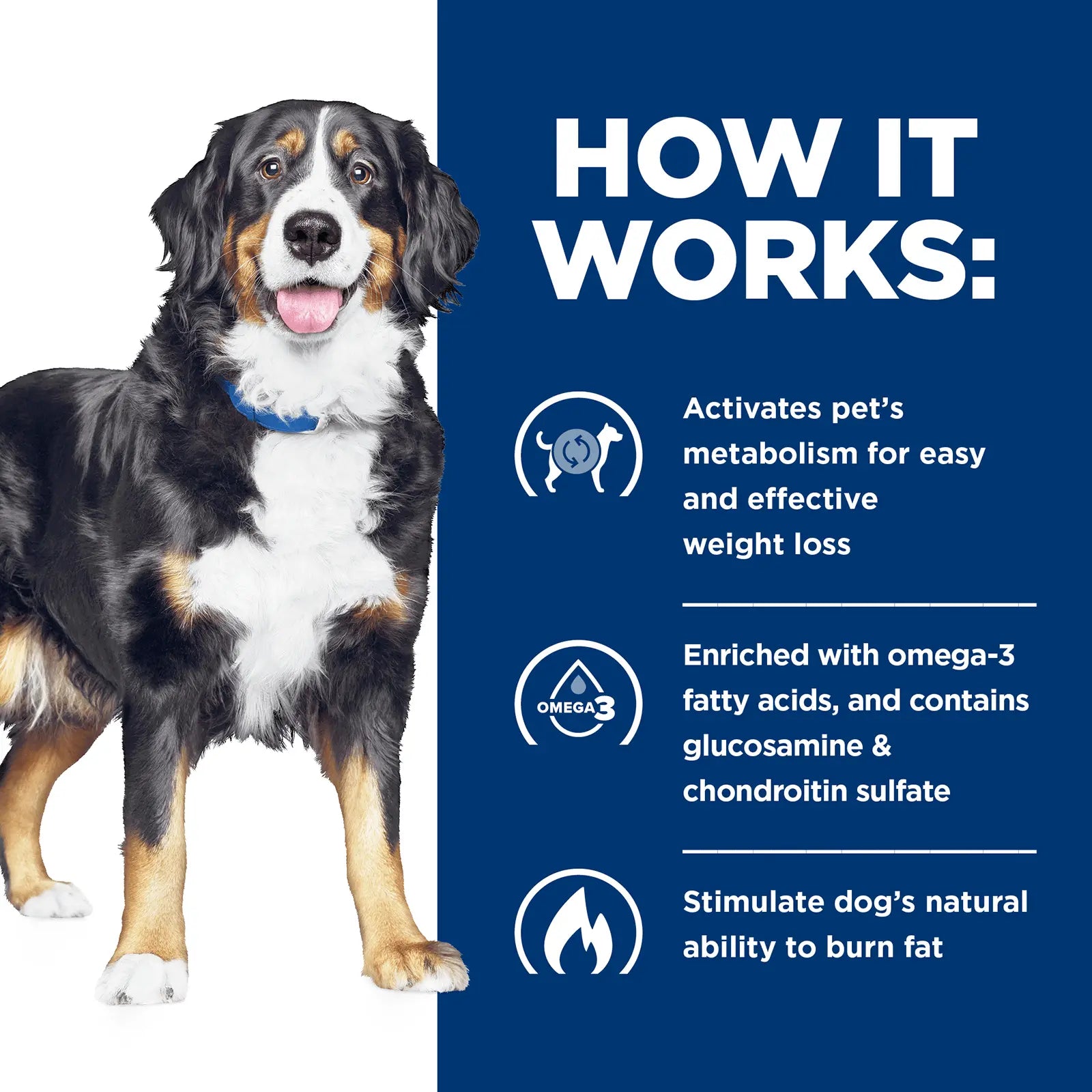 Hill's Prescription Diet Dog Food Metabolic Weight + j/d Mobility Care - Kellyville Pets