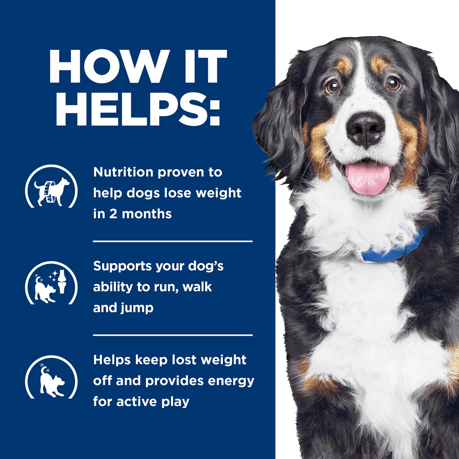 Hill's Prescription Diet Dog Food Metabolic Weight + j/d Mobility Care - Kellyville Pets