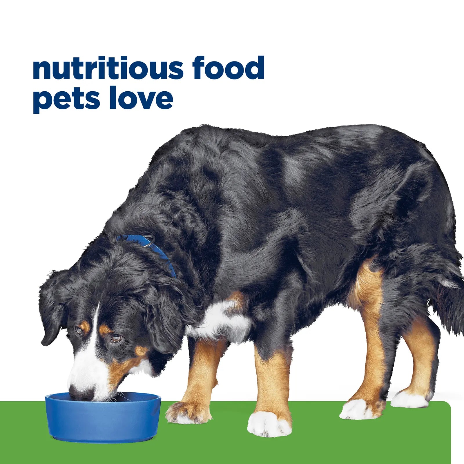 Hill's Prescription Diet Dog Food Metabolic Weight + j/d Mobility Care - Kellyville Pets